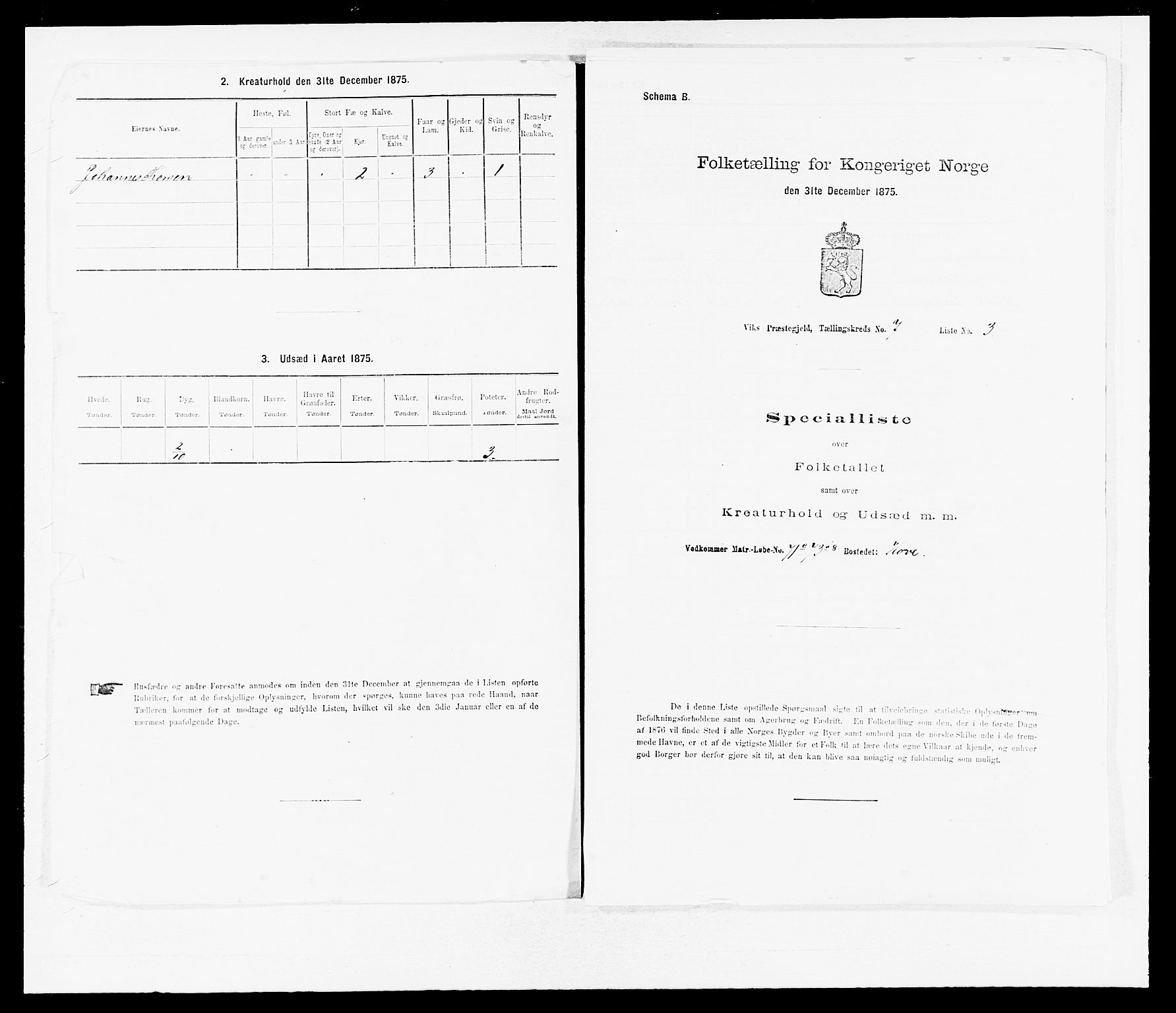 SAB, 1875 census for 1417P Vik, 1875, p. 817