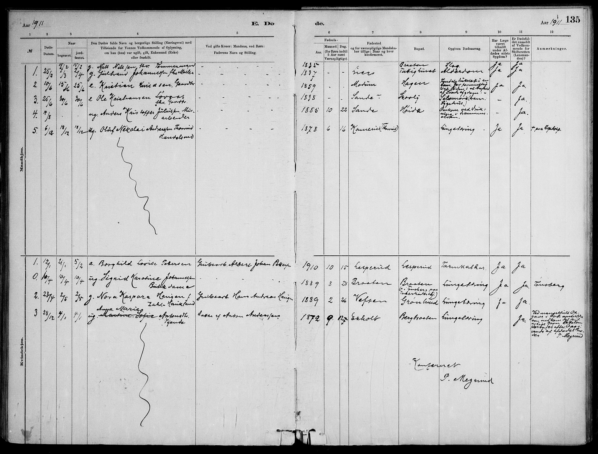 Skoger kirkebøker, AV/SAKO-A-59/F/Fb/L0001: Parish register (official) no. II 1, 1885-1913, p. 135