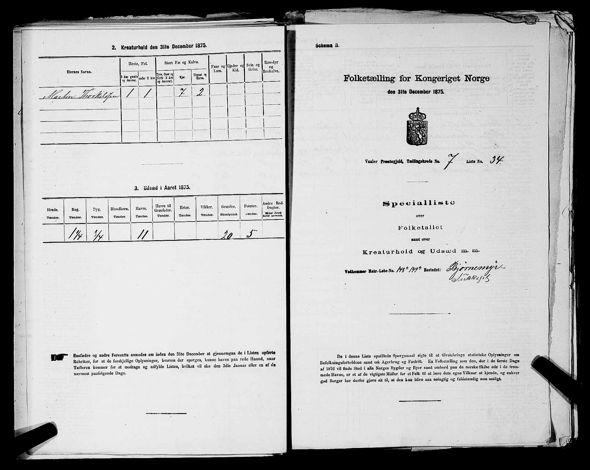 RA, 1875 census for 0137P Våler, 1875, p. 1017