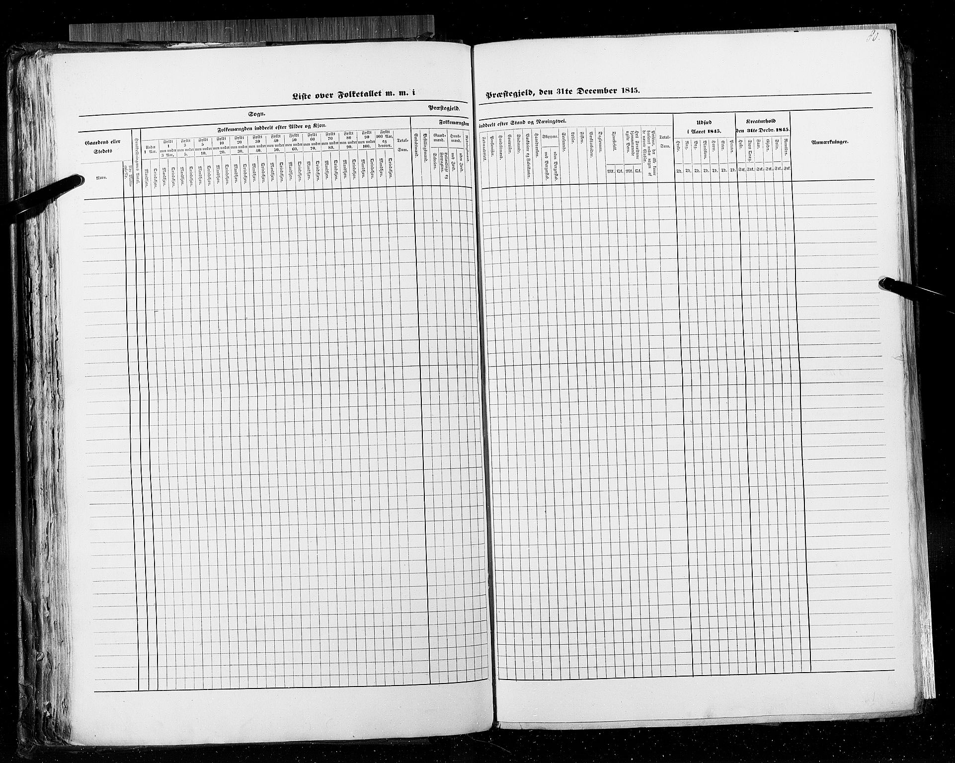 RA, Census 1845, vol. 5: Bratsberg amt og Nedenes og Råbyggelaget amt, 1845, p. 80