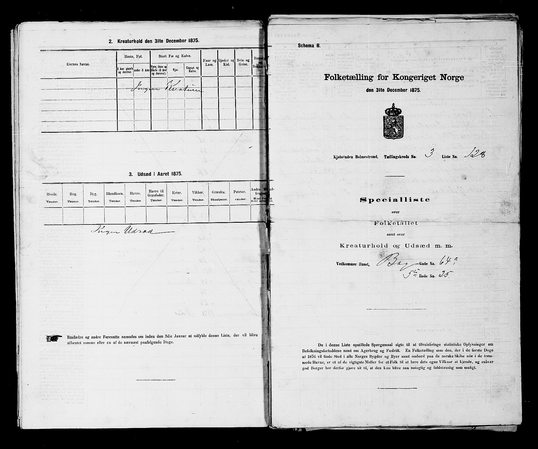 SAKO, 1875 census for 0702P Holmestrand, 1875, p. 351