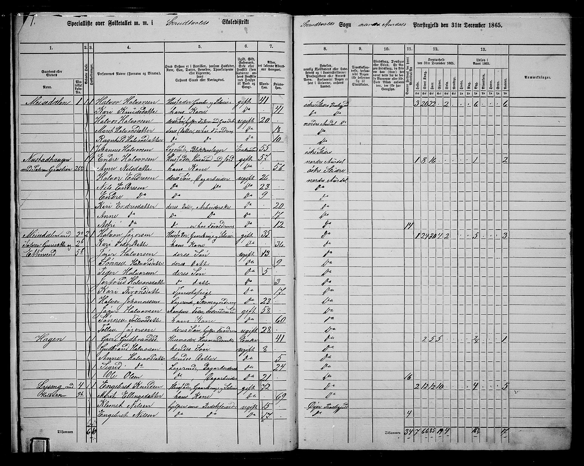 RA, 1865 census for Nord-Aurdal, 1865, p. 13