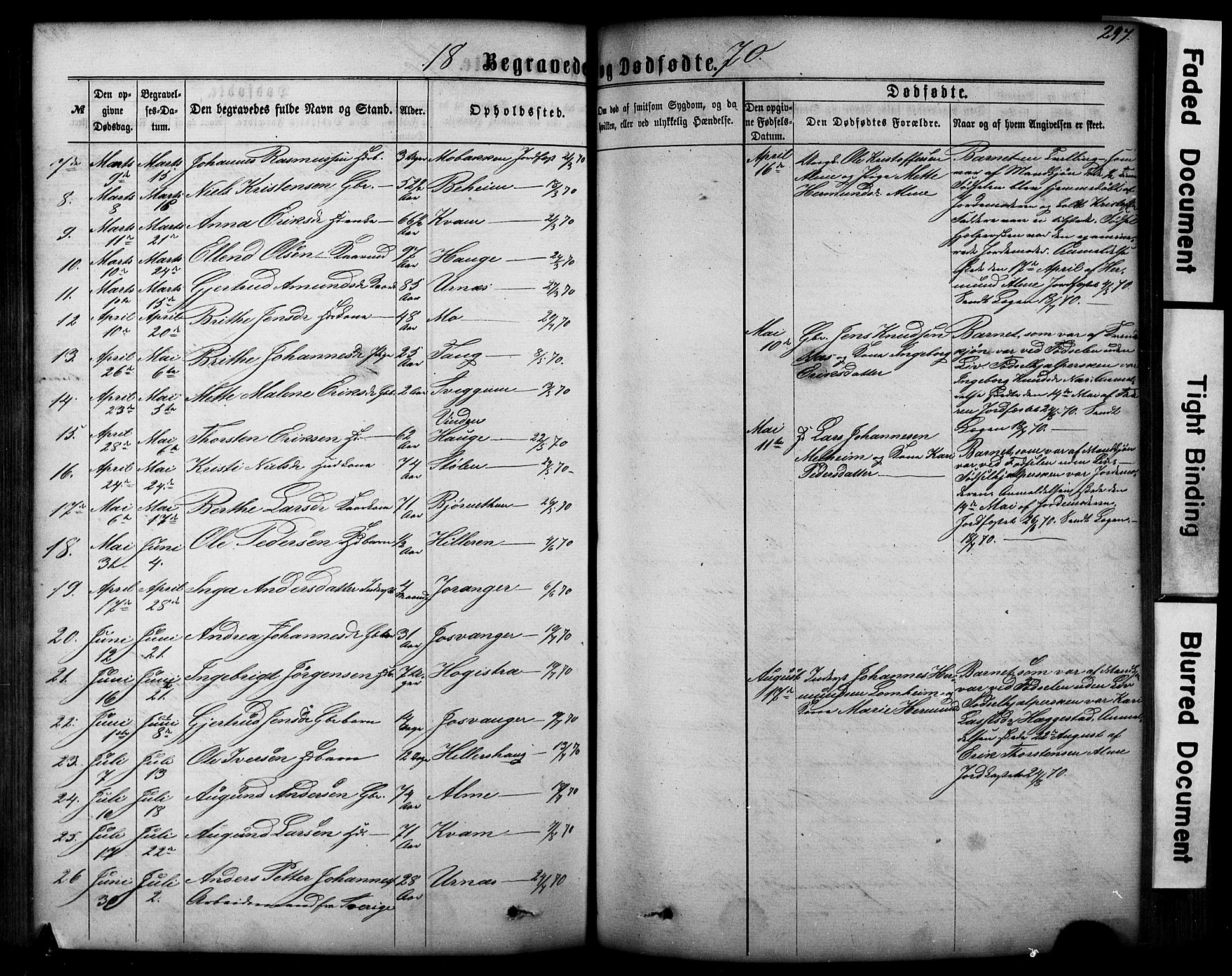 Hafslo sokneprestembete, AV/SAB-A-80301/H/Hab/Haba/L0001: Parish register (copy) no. A 1, 1866-1908, p. 297