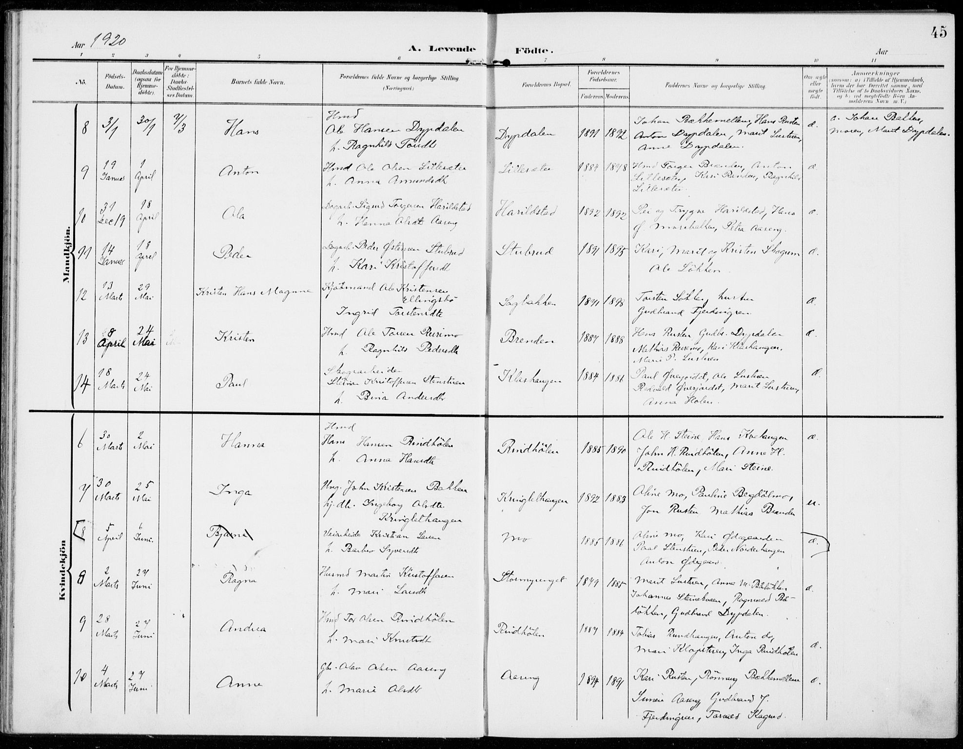 Sel prestekontor, SAH/PREST-074/H/Ha/Haa/L0001: Parish register (official) no. 1, 1905-1922, p. 45