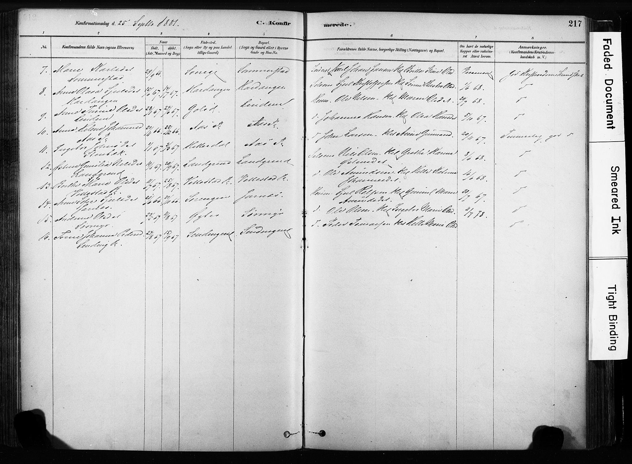 Sandsvær kirkebøker, SAKO/A-244/F/Fb/L0001: Parish register (official) no. II 1, 1878-1906, p. 217