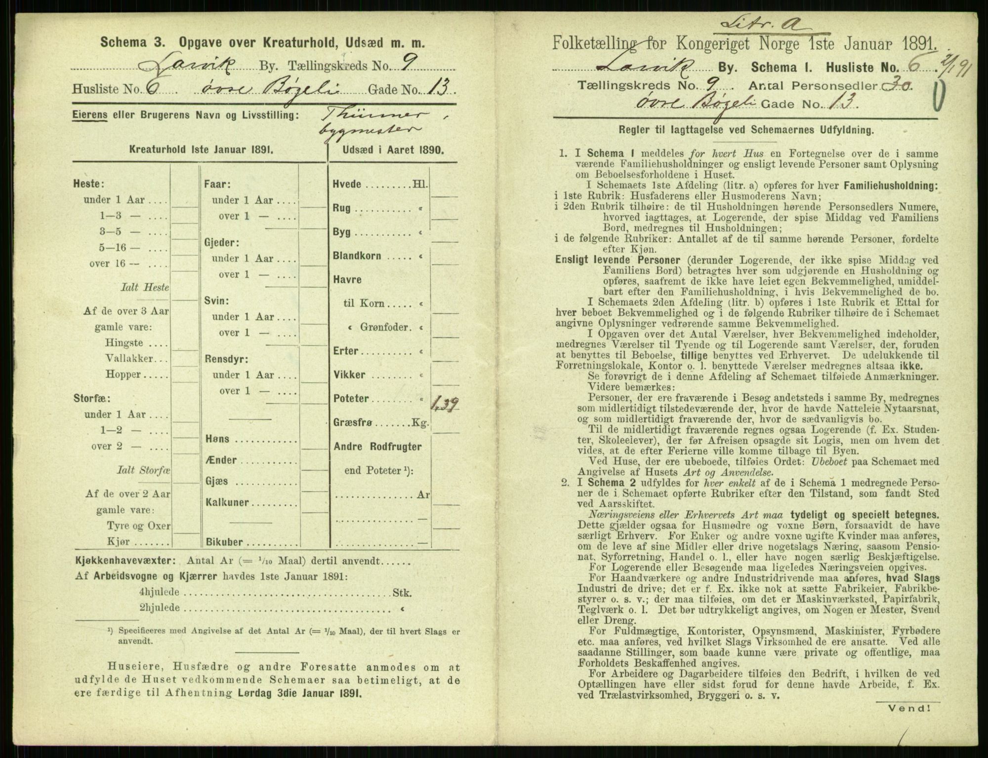 RA, 1891 census for 0707 Larvik, 1891, p. 1131