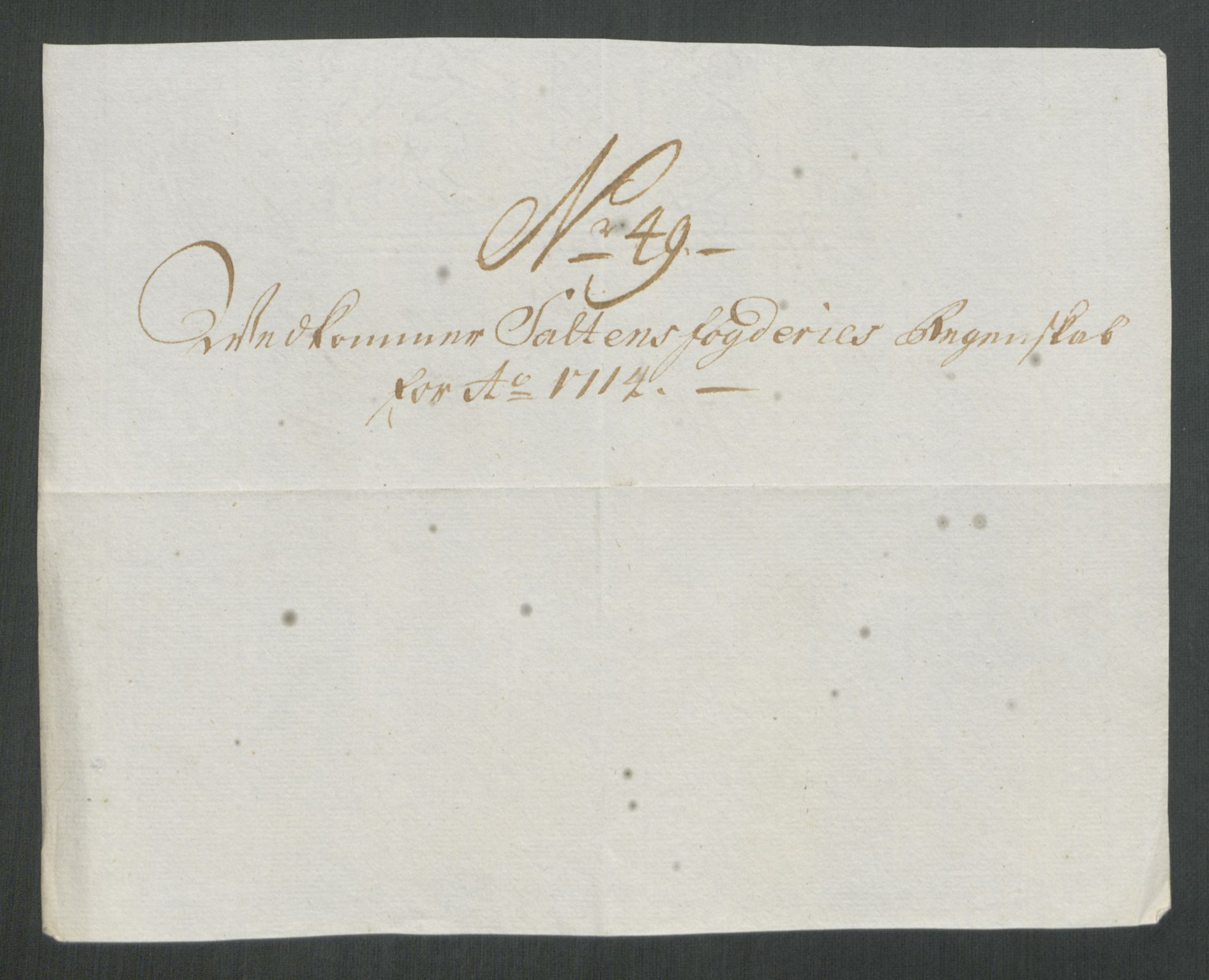 Rentekammeret inntil 1814, Reviderte regnskaper, Fogderegnskap, AV/RA-EA-4092/R66/L4584: Fogderegnskap Salten, 1714, p. 308