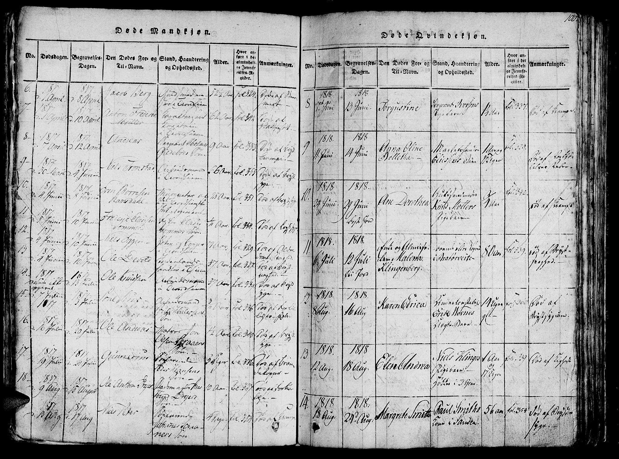 Ministerialprotokoller, klokkerbøker og fødselsregistre - Sør-Trøndelag, AV/SAT-A-1456/602/L0135: Parish register (copy) no. 602C03, 1815-1832, p. 100