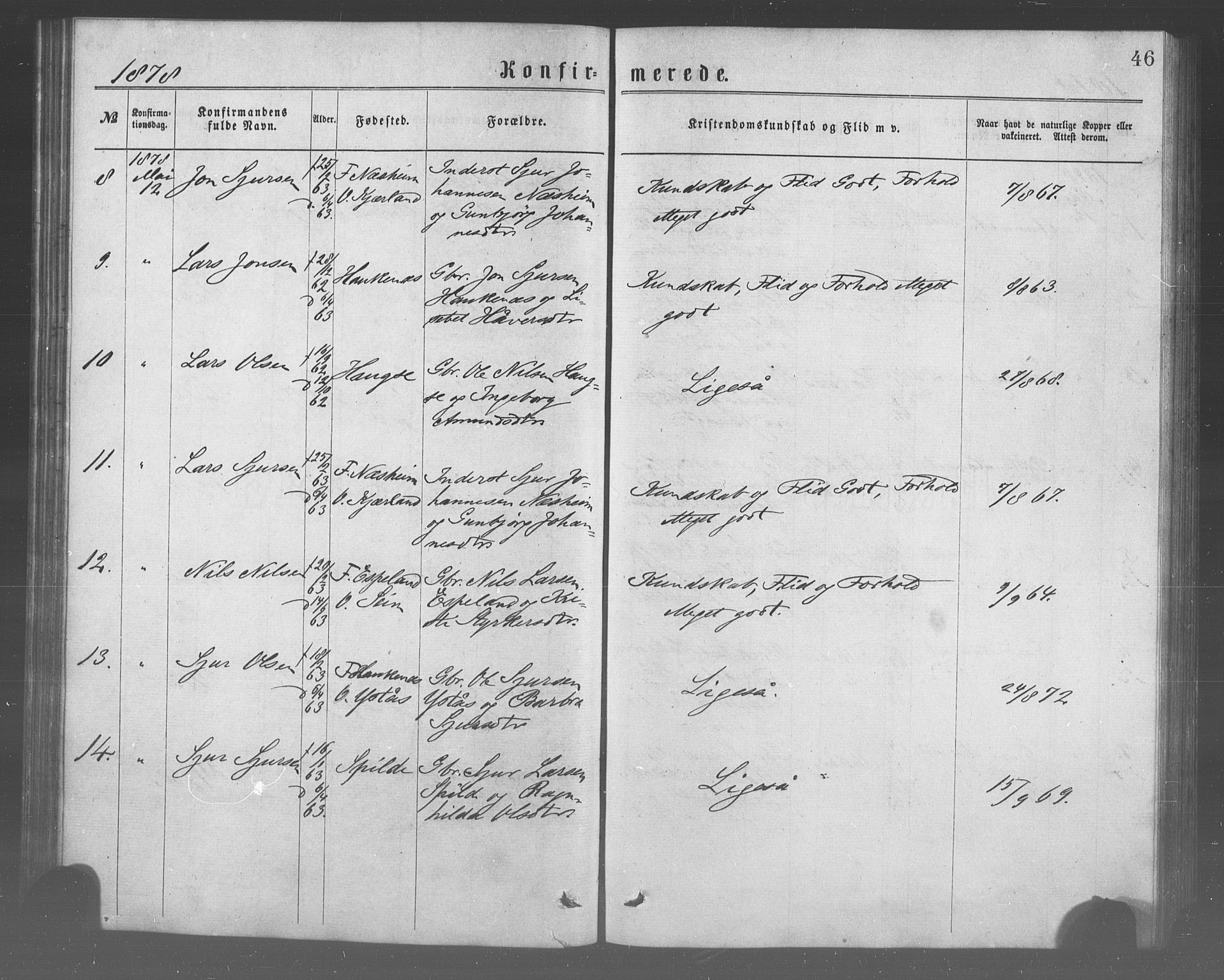 Ulvik sokneprestembete, AV/SAB-A-78801/H/Haa: Parish register (official) no. A 17, 1873-1891, p. 46