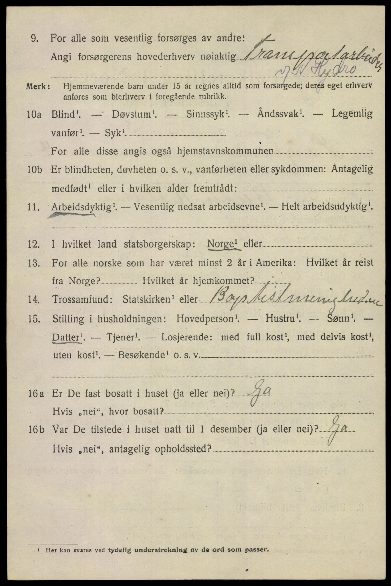 SAKO, 1920 census for Porsgrunn, 1920, p. 19916