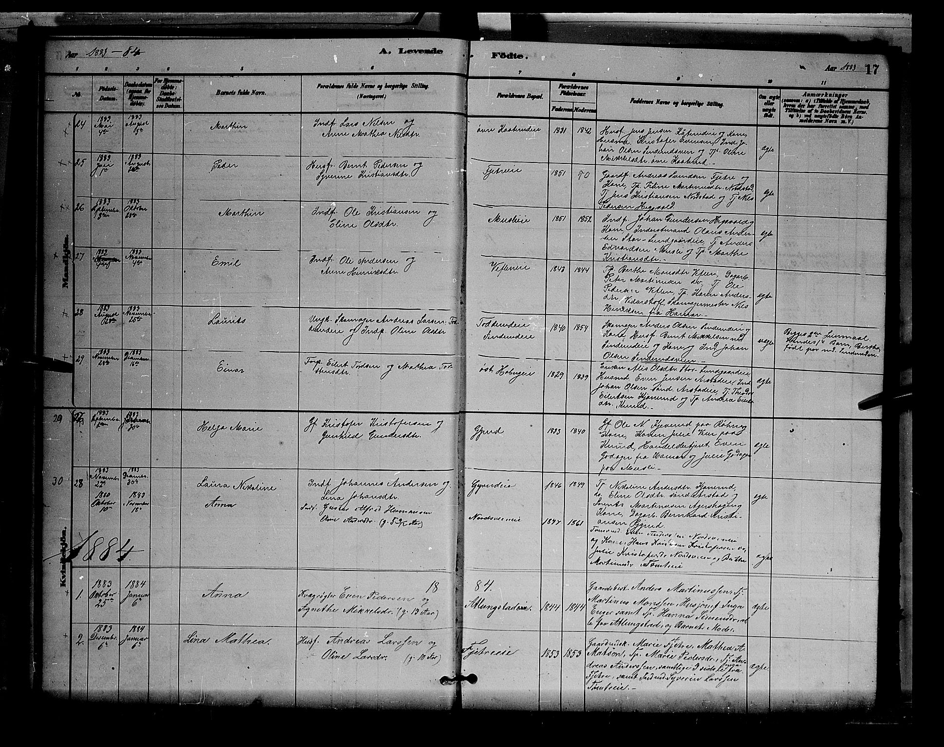 Stange prestekontor, SAH/PREST-002/L/L0007: Parish register (copy) no. 7, 1880-1893, p. 17