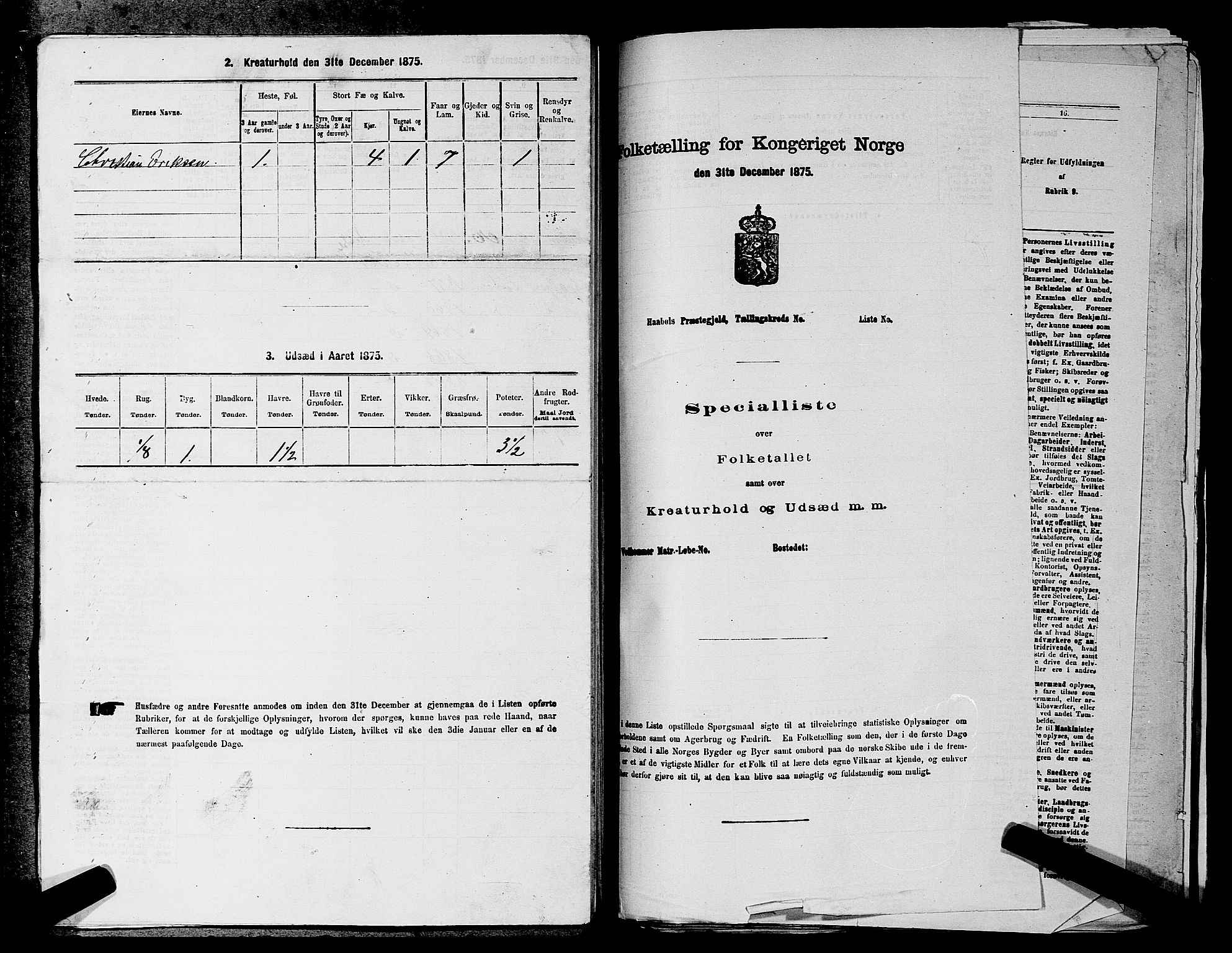 RA, 1875 census for 0218aP Vestre Aker, 1875, p. 1018