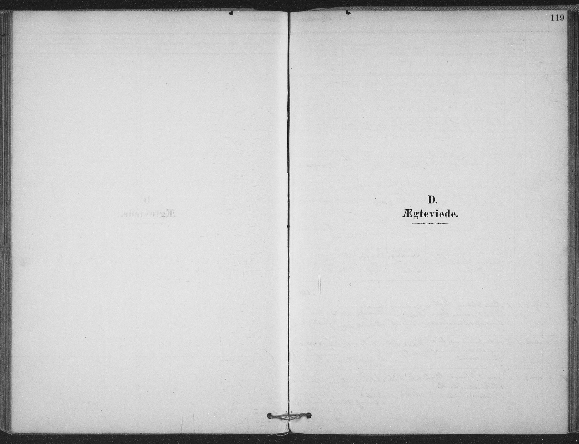 Ministerialprotokoller, klokkerbøker og fødselsregistre - Møre og Romsdal, SAT/A-1454/514/L0199: Parish register (official) no. 514A01, 1878-1912, p. 119