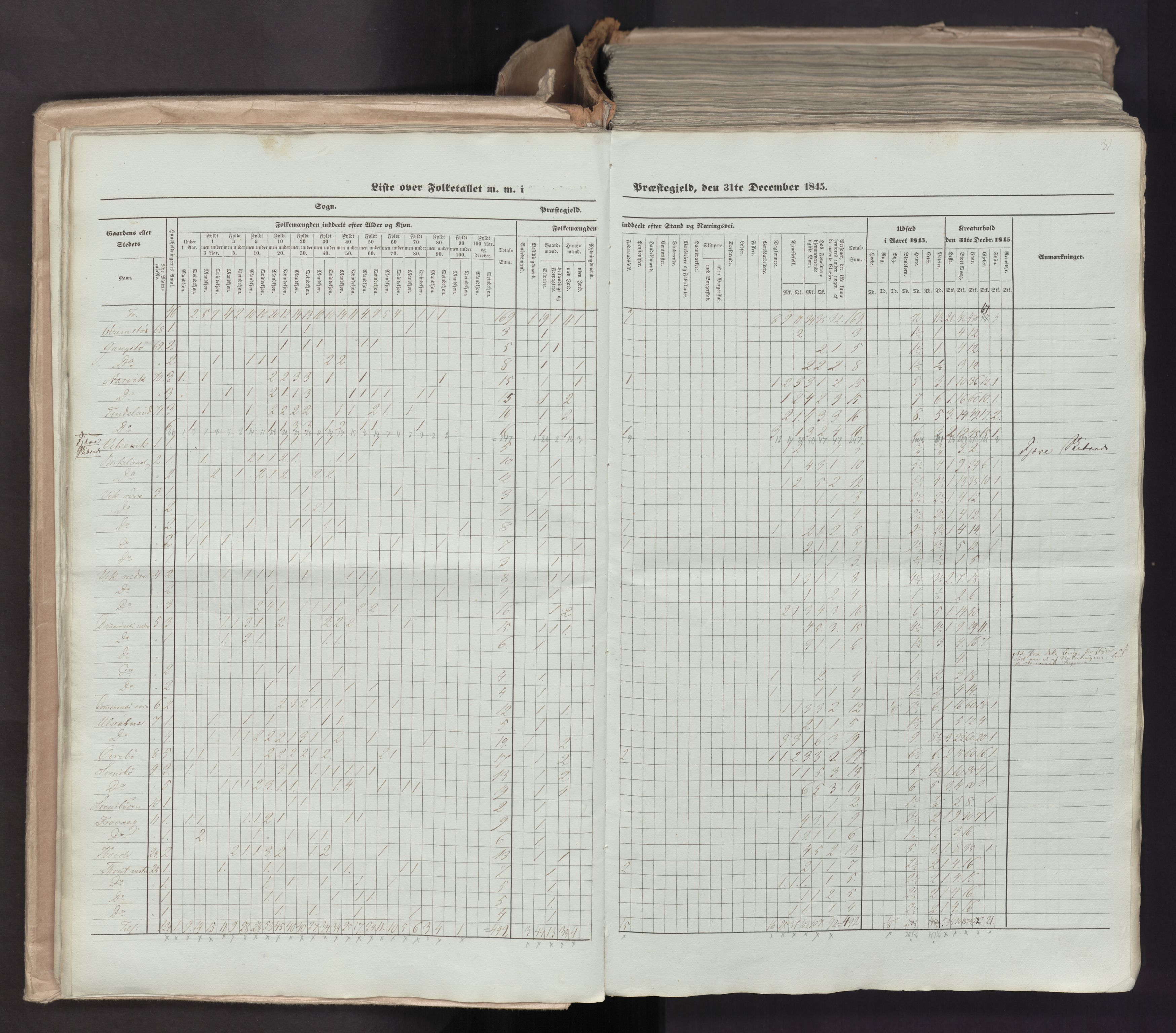 RA, Census 1845, vol. 7: Søndre Bergenhus amt og Nordre Bergenhus amt, 1845, p. 31