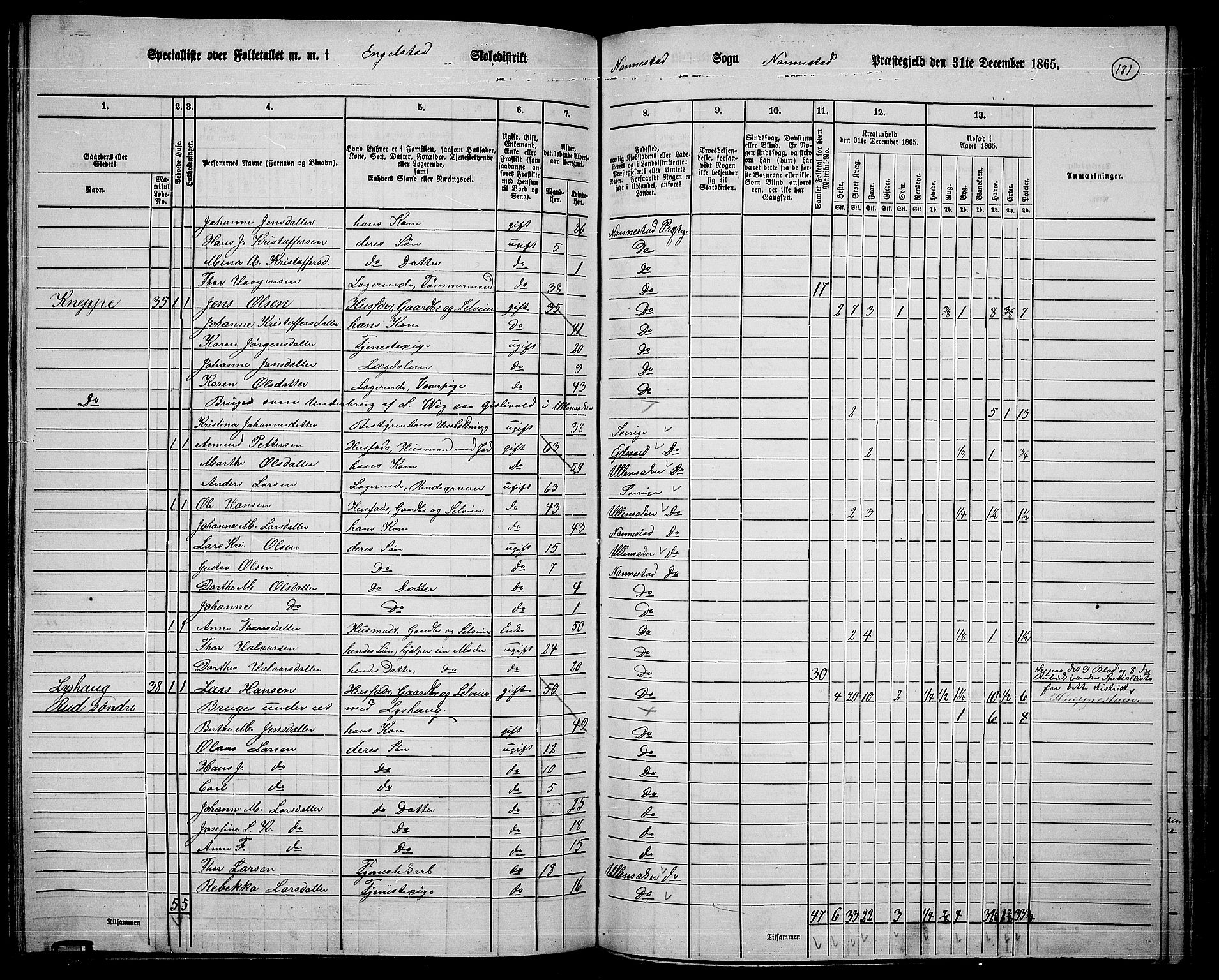 RA, 1865 census for Nannestad, 1865, p. 64