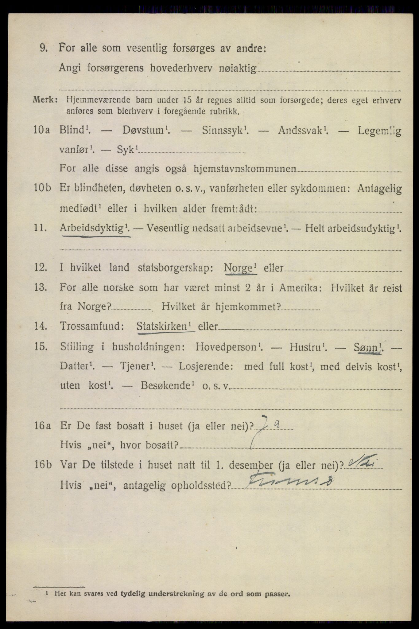 SAKO, 1920 census for Sandeherred, 1920, p. 19845