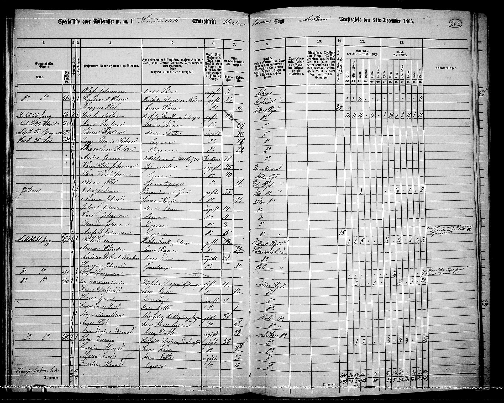 RA, 1865 census for Asker, 1865, p. 250