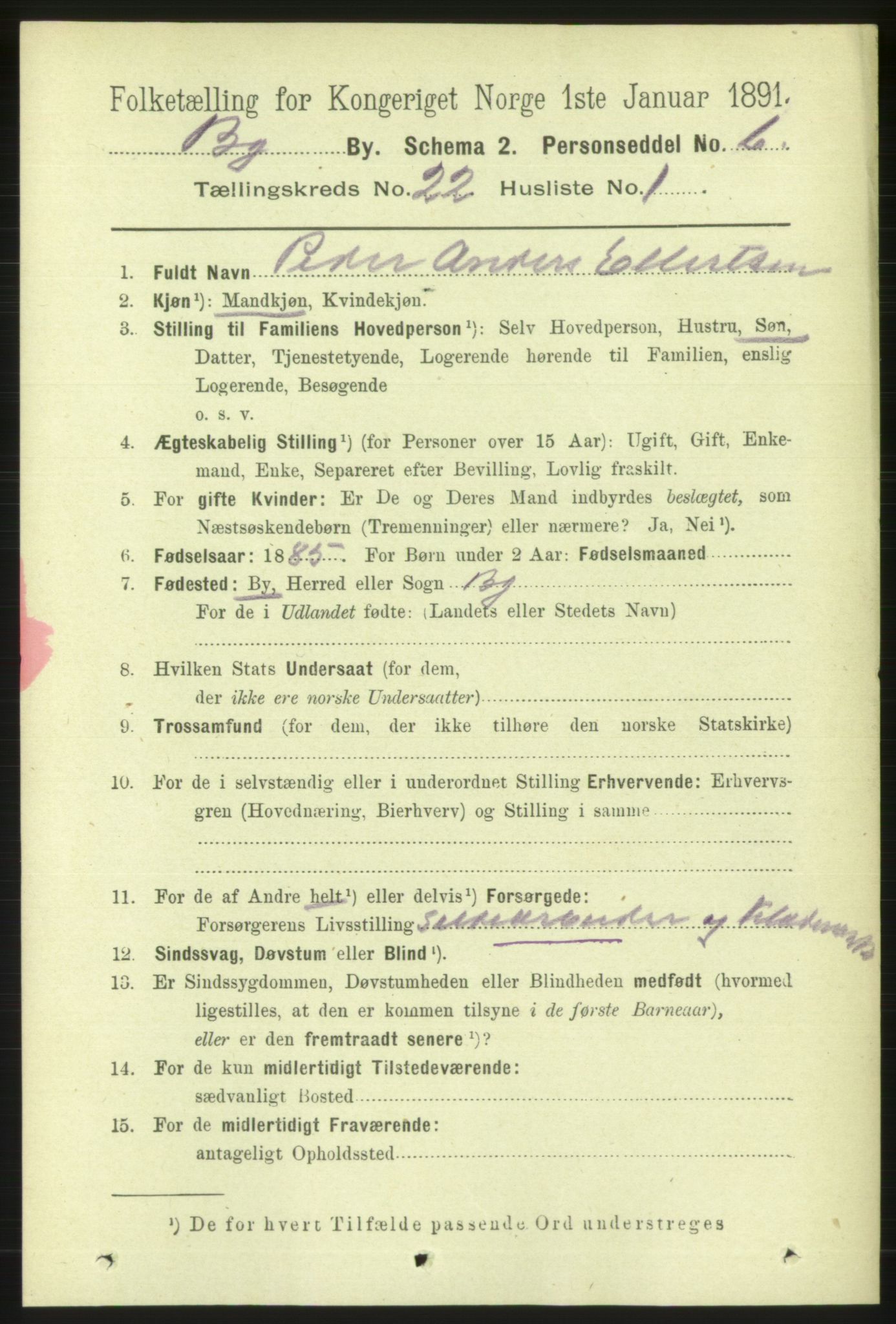 RA, 1891 Census for 1301 Bergen, 1891, p. 30027