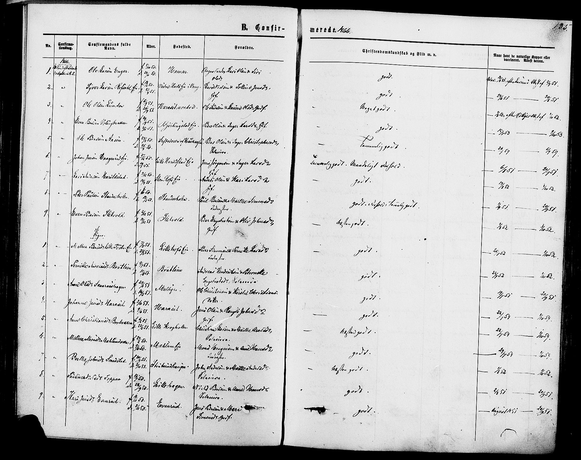 Romedal prestekontor, SAH/PREST-004/K/L0006: Parish register (official) no. 6, 1866-1886, p. 135