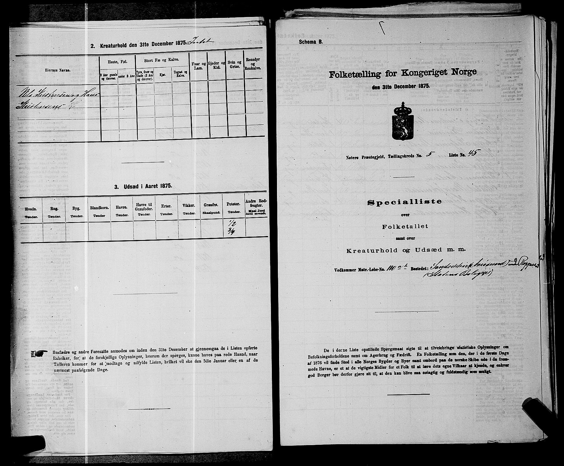 SAKO, 1875 census for 0722P Nøtterøy, 1875, p. 1058