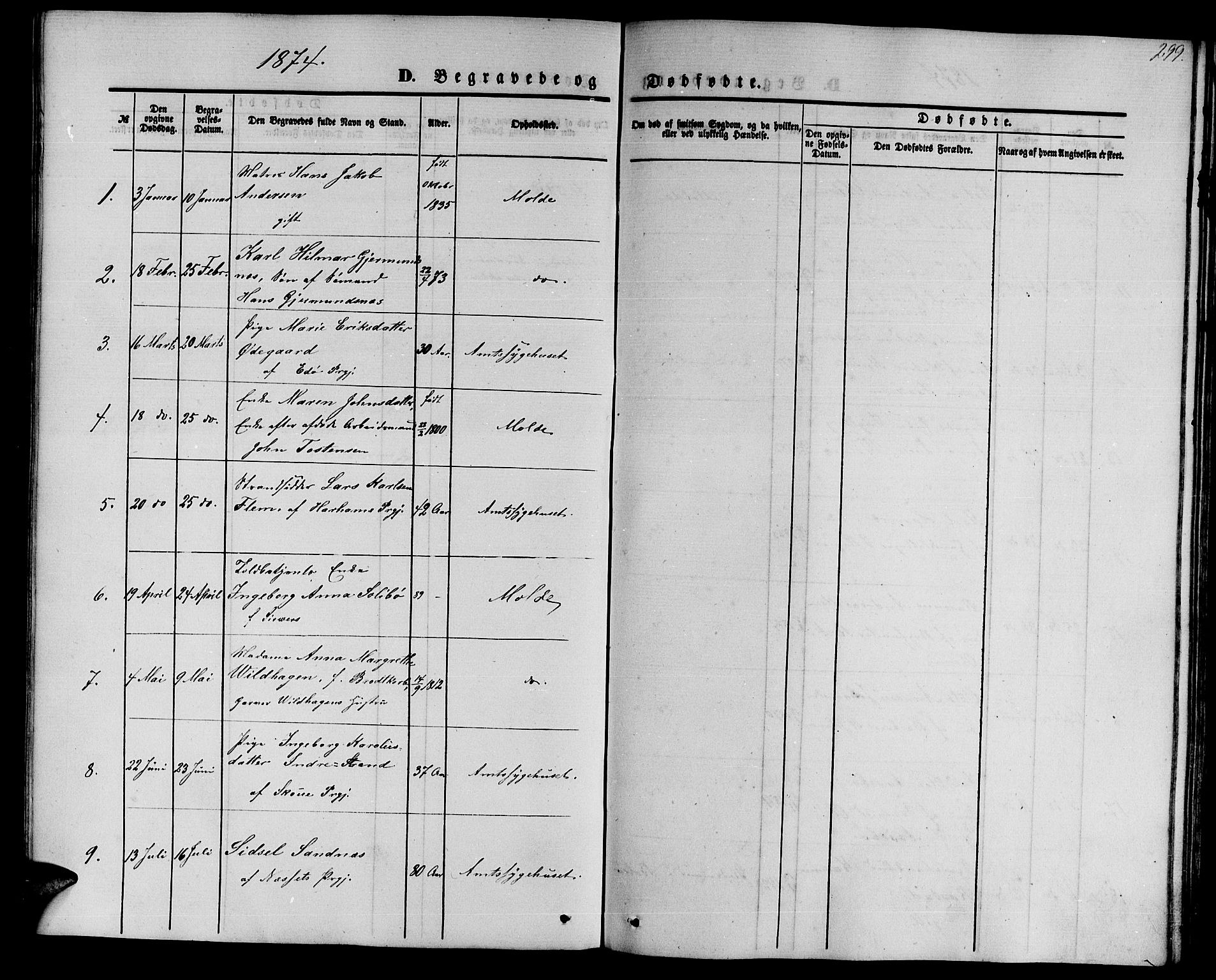 Ministerialprotokoller, klokkerbøker og fødselsregistre - Møre og Romsdal, AV/SAT-A-1454/558/L0701: Parish register (copy) no. 558C02, 1862-1879, p. 299