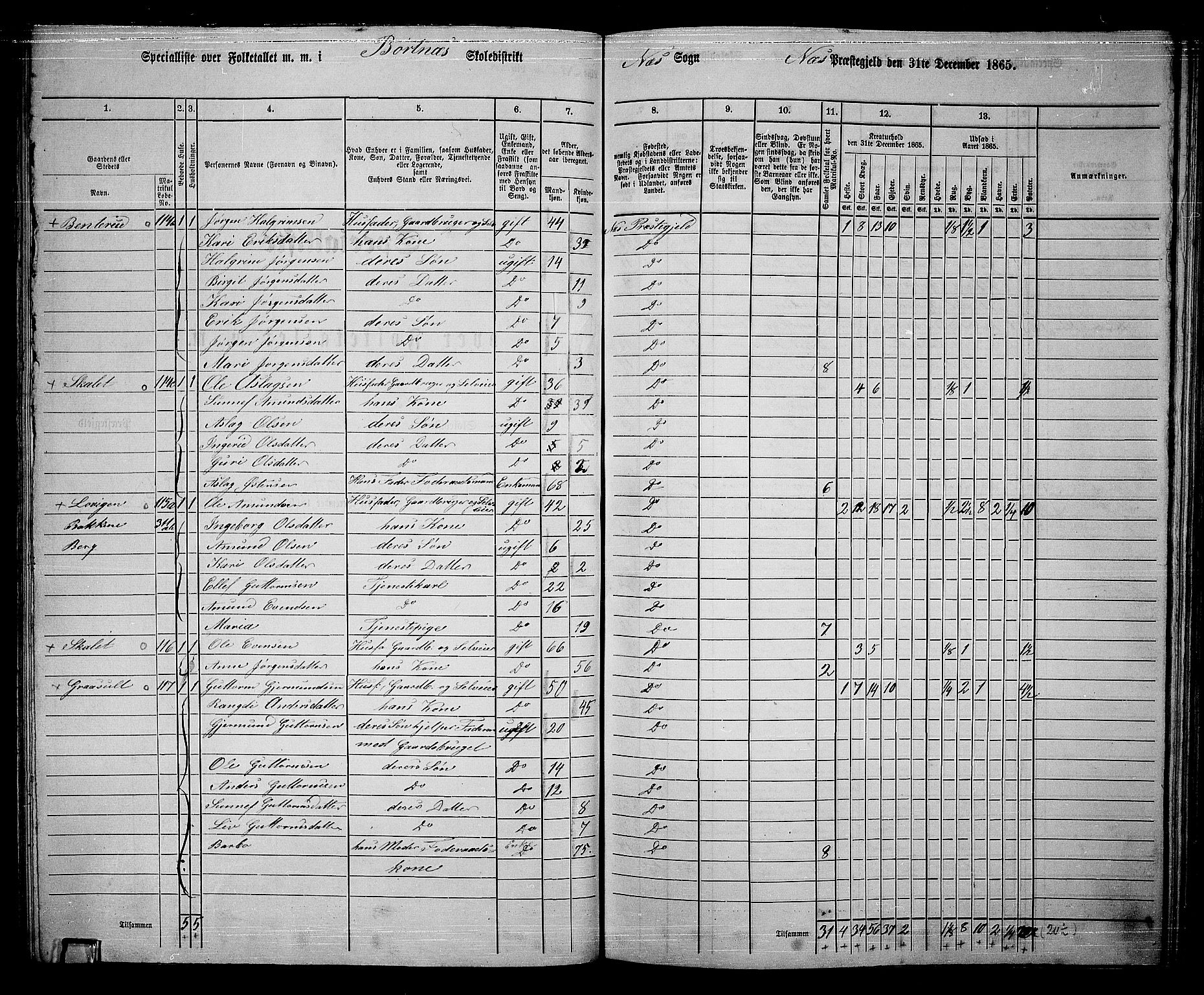 RA, 1865 census for Nes, 1865, p. 105