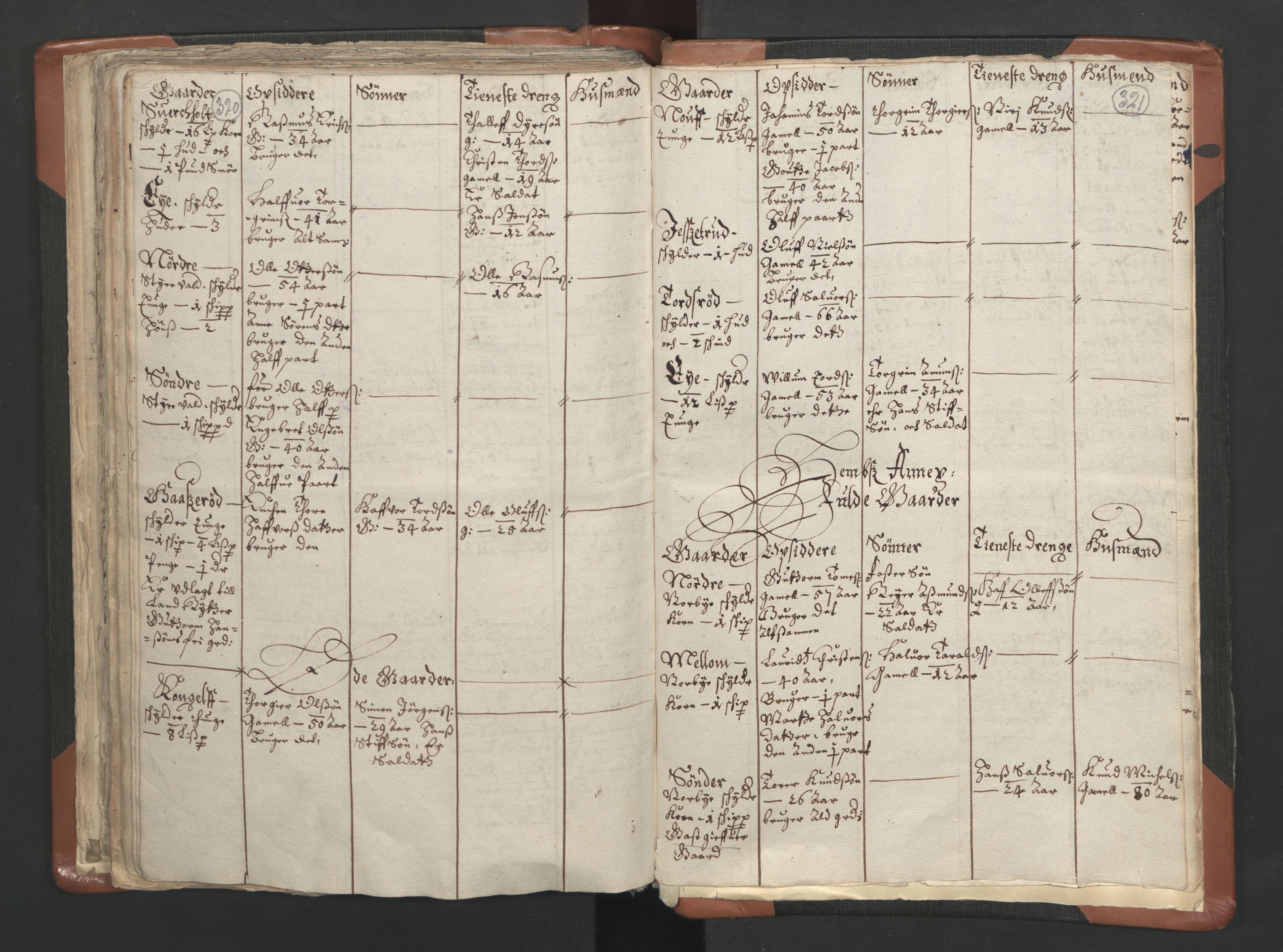 RA, Vicar's Census 1664-1666, no. 10: Tønsberg deanery, 1664-1666, p. 320-321