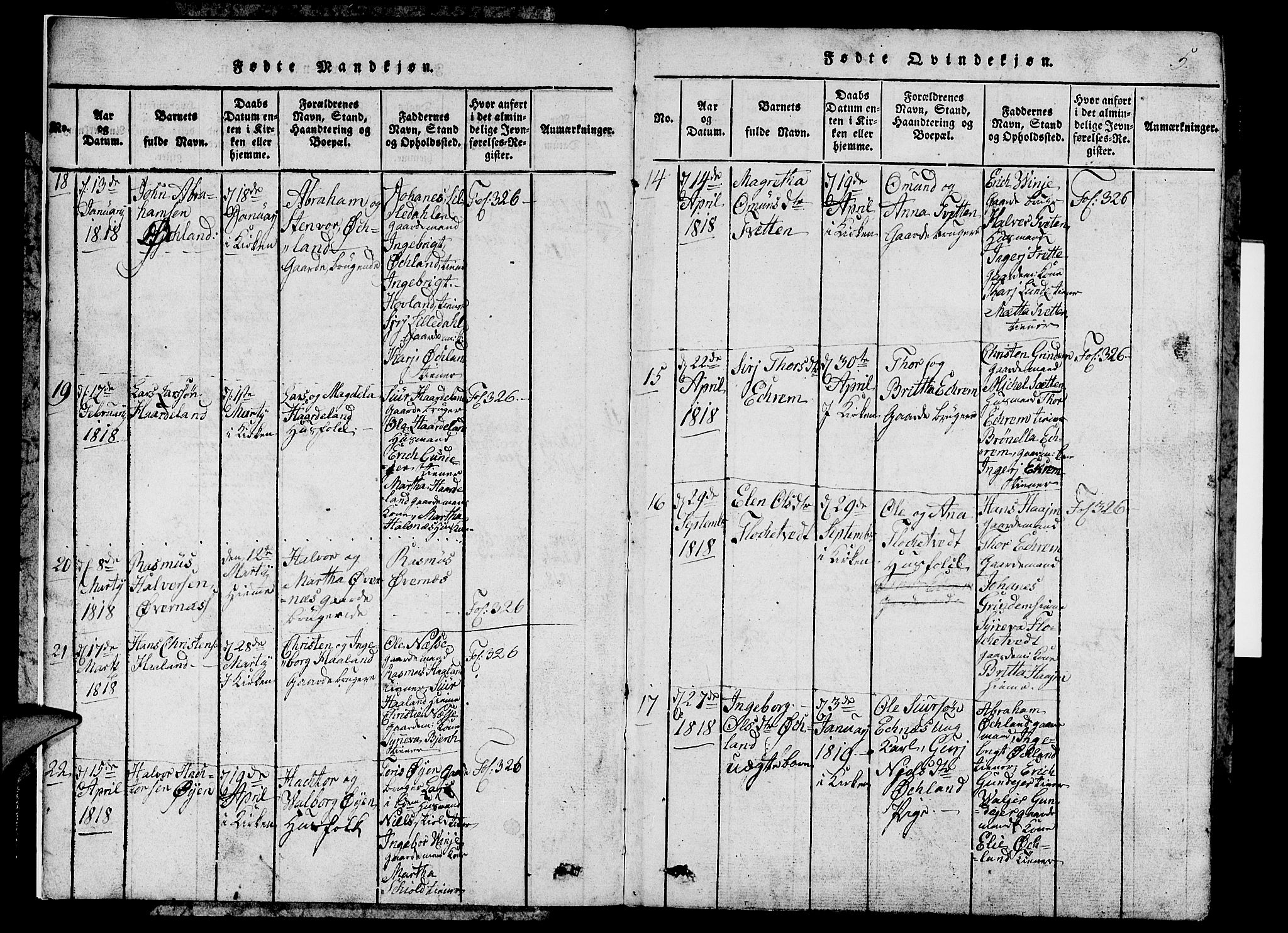 Etne sokneprestembete, SAB/A-75001/H/Hab: Parish register (copy) no. C 1, 1816-1841, p. 5