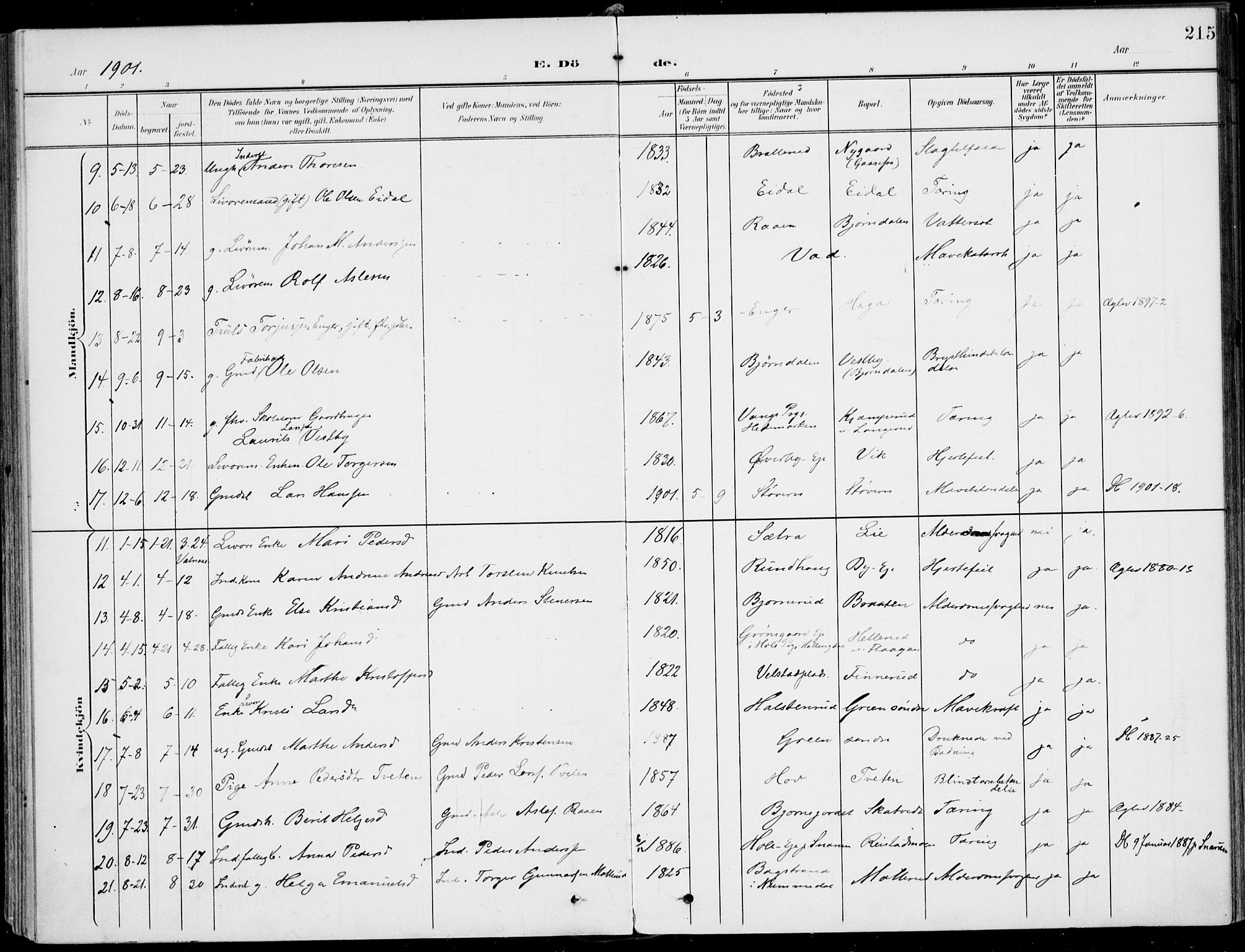 Sigdal kirkebøker, AV/SAKO-A-245/F/Fb/L0002: Parish register (official) no. II 2, 1901-1914, p. 215