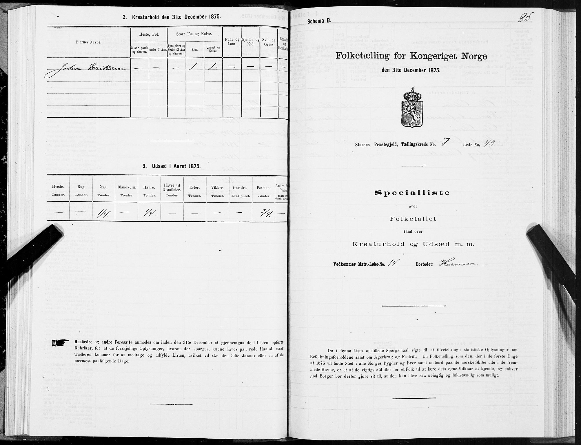 SAT, 1875 census for 1648P Støren, 1875, p. 4085