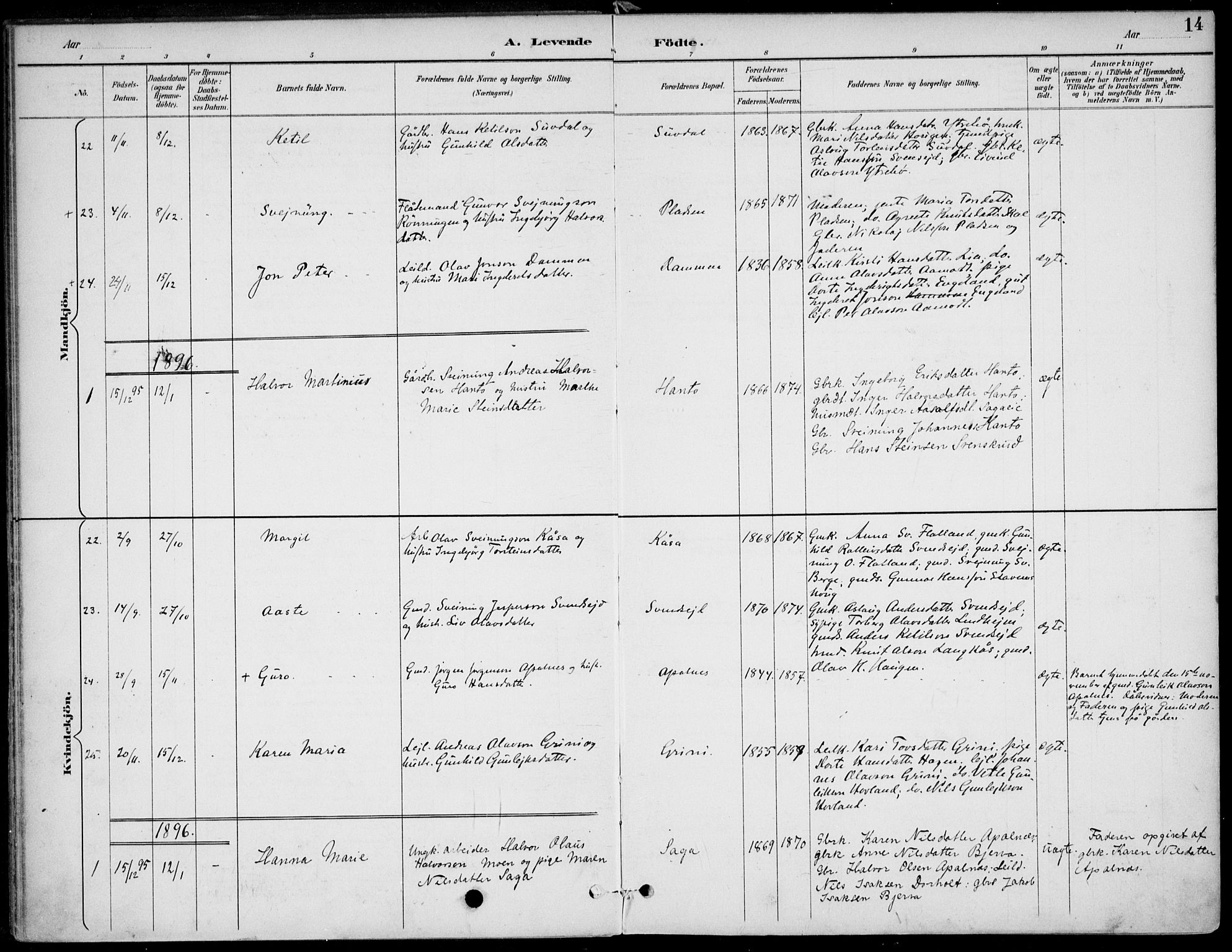 Lunde kirkebøker, AV/SAKO-A-282/F/Fa/L0003: Parish register (official) no. I 3, 1893-1902, p. 14