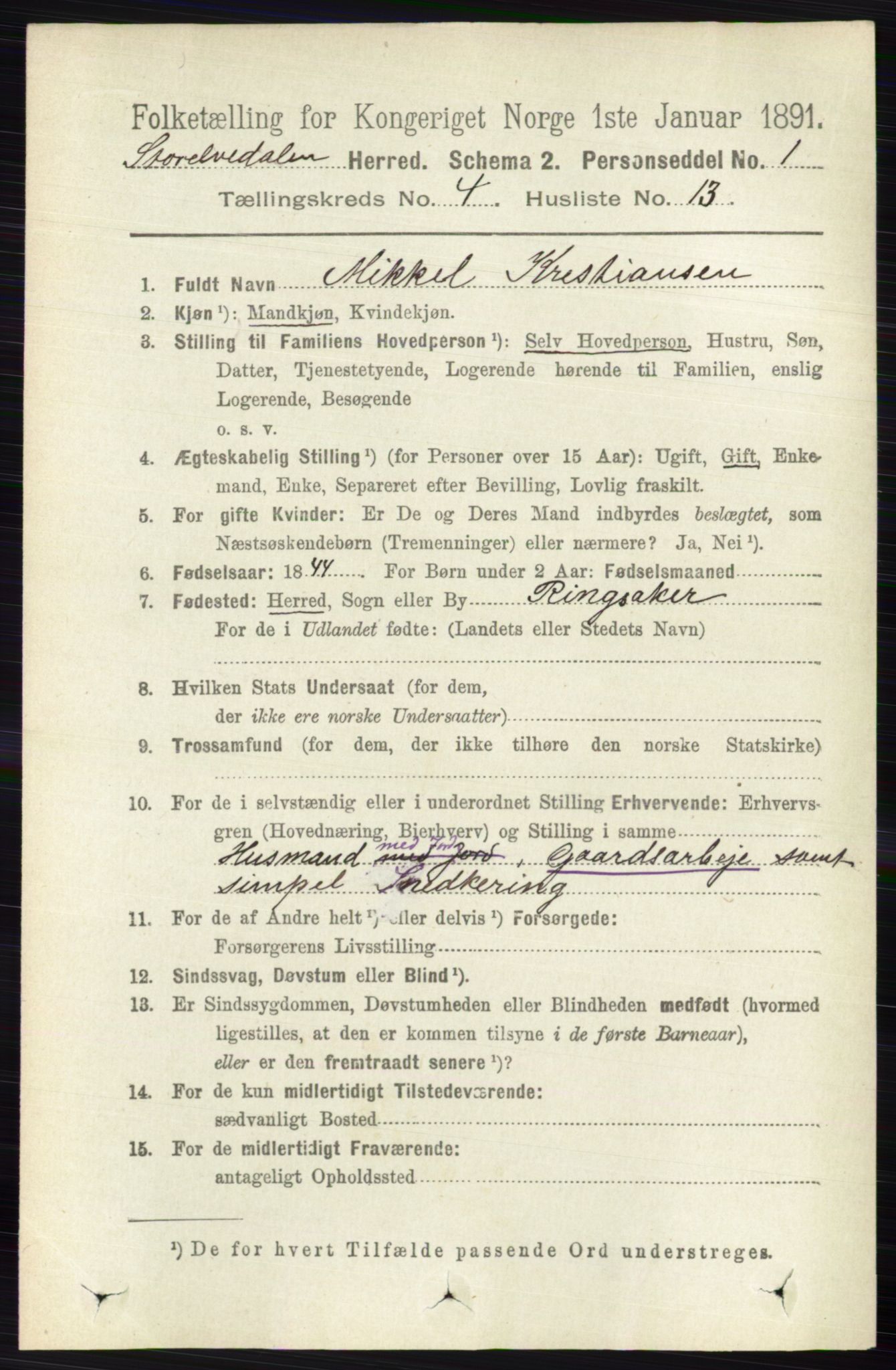 RA, 1891 census for 0430 Stor-Elvdal, 1891, p. 1516