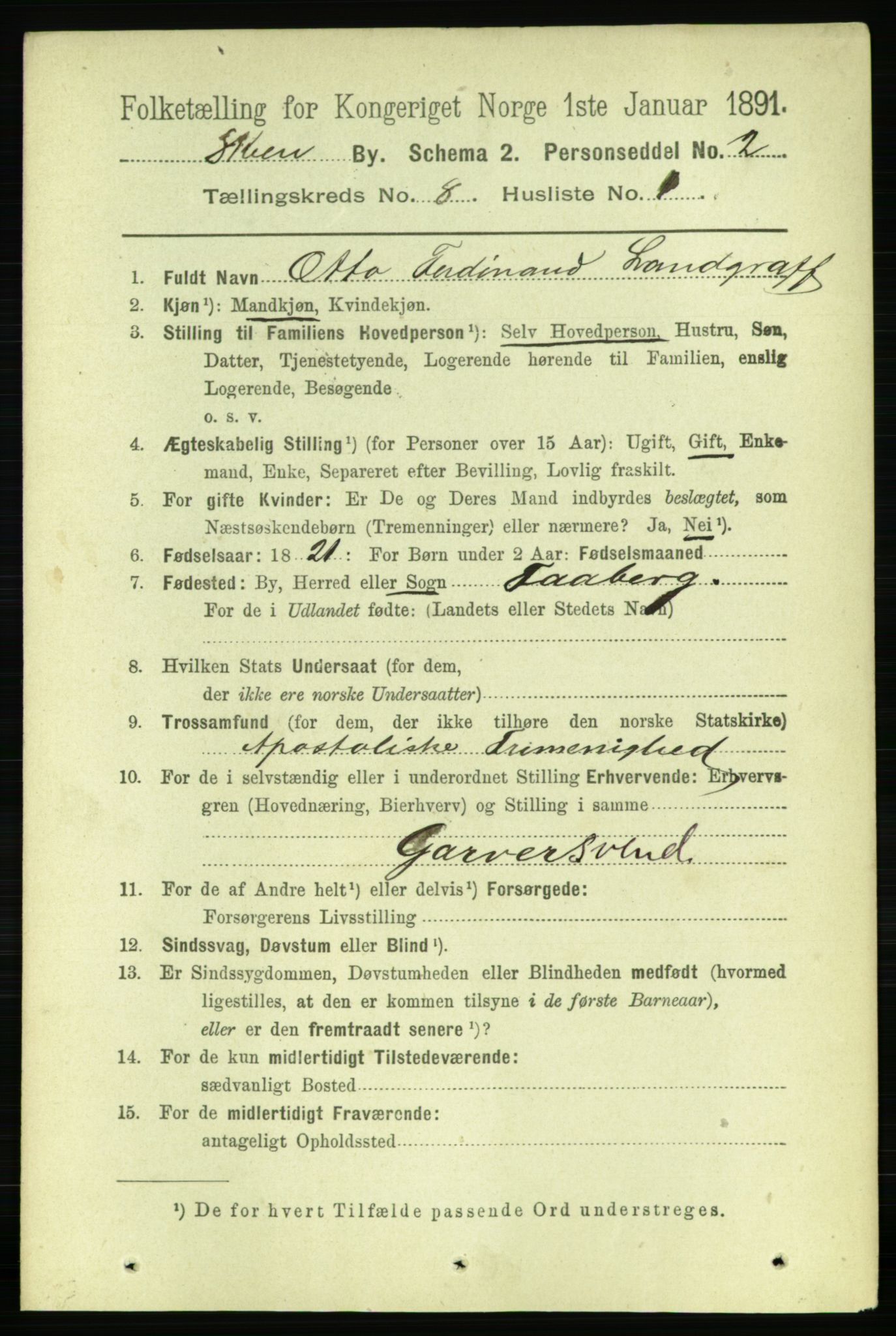 RA, 1891 census for 0806 Skien, 1891, p. 3269