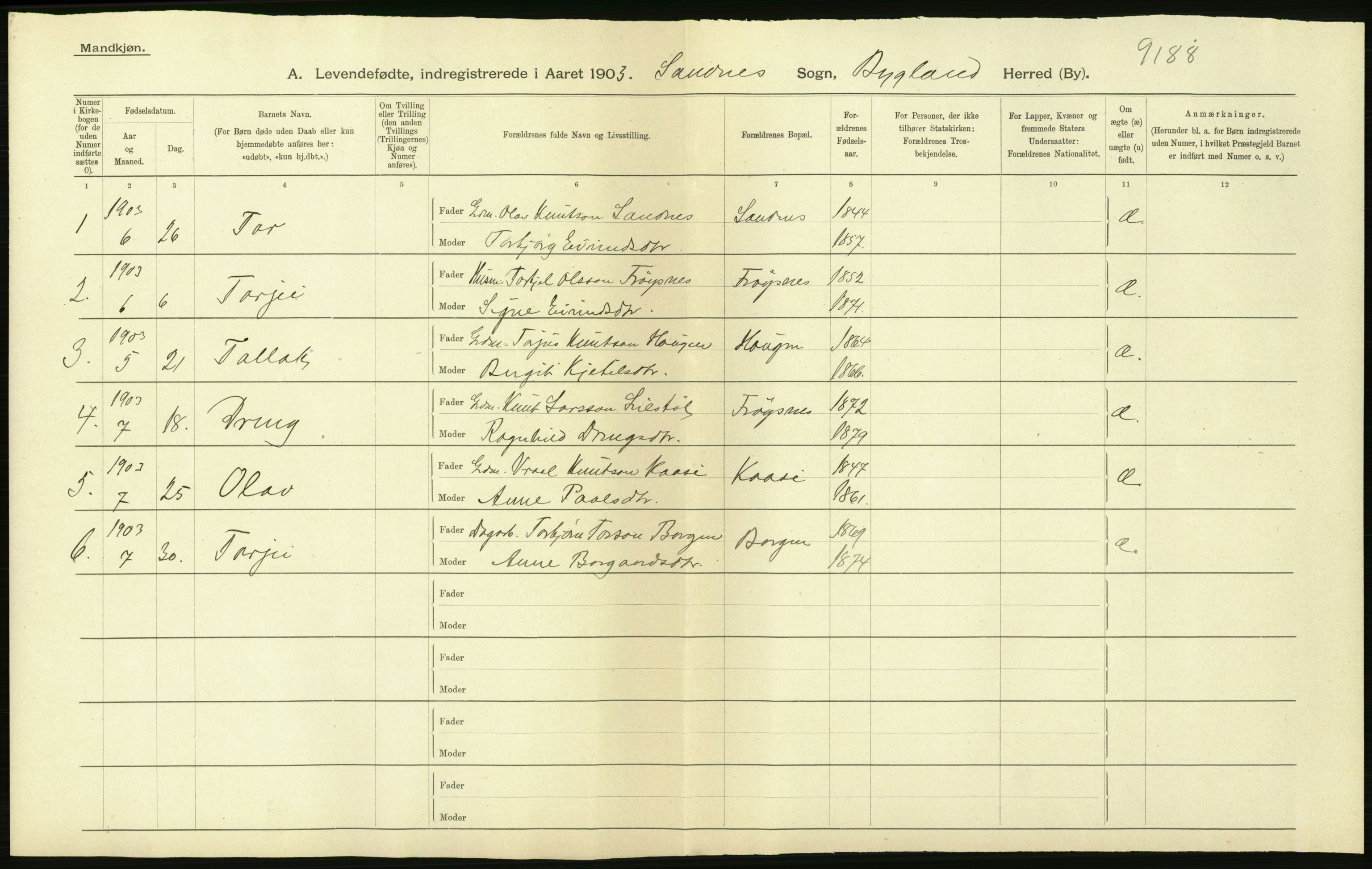 Statistisk sentralbyrå, Sosiodemografiske emner, Befolkning, AV/RA-S-2228/D/Df/Dfa/Dfaa/L0010: Nedenes amt: Fødte, gifte, døde, 1903, p. 82