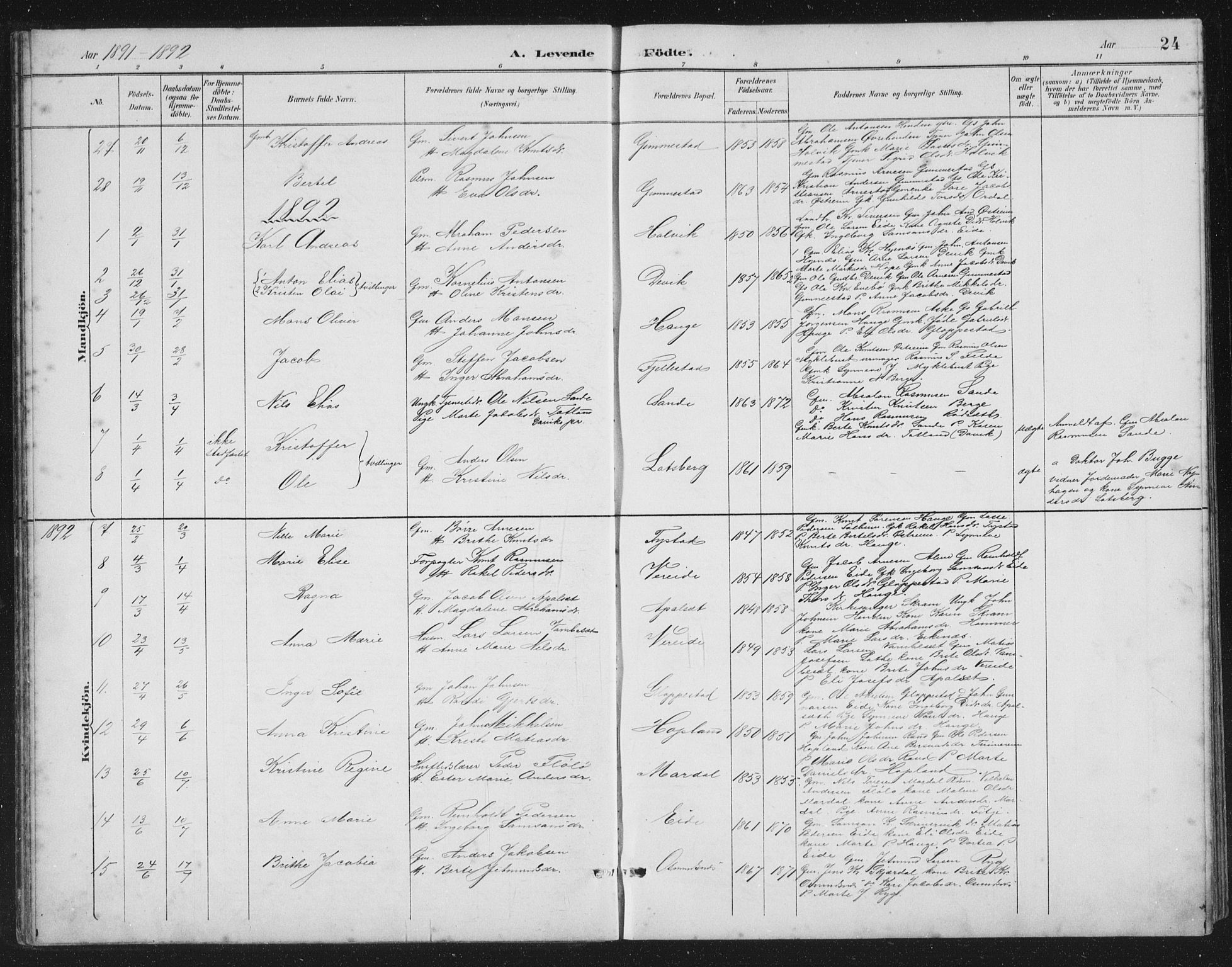 Gloppen sokneprestembete, AV/SAB-A-80101/H/Hab/Habb/L0002: Parish register (copy) no. B 2, 1889-1909, p. 24