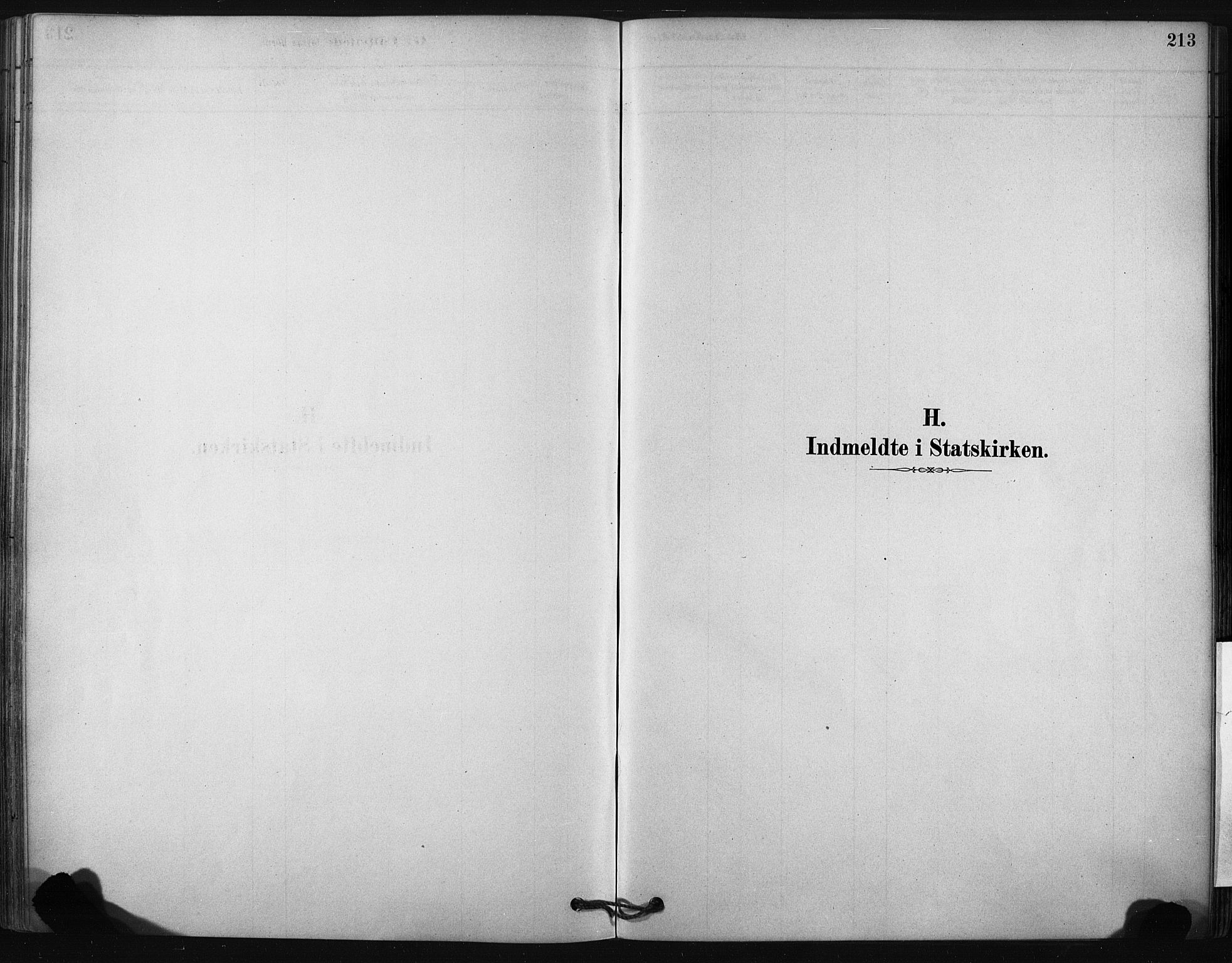 Ministerialprotokoller, klokkerbøker og fødselsregistre - Nordland, SAT/A-1459/807/L0122: Parish register (official) no. 807A05, 1880-1902, p. 213