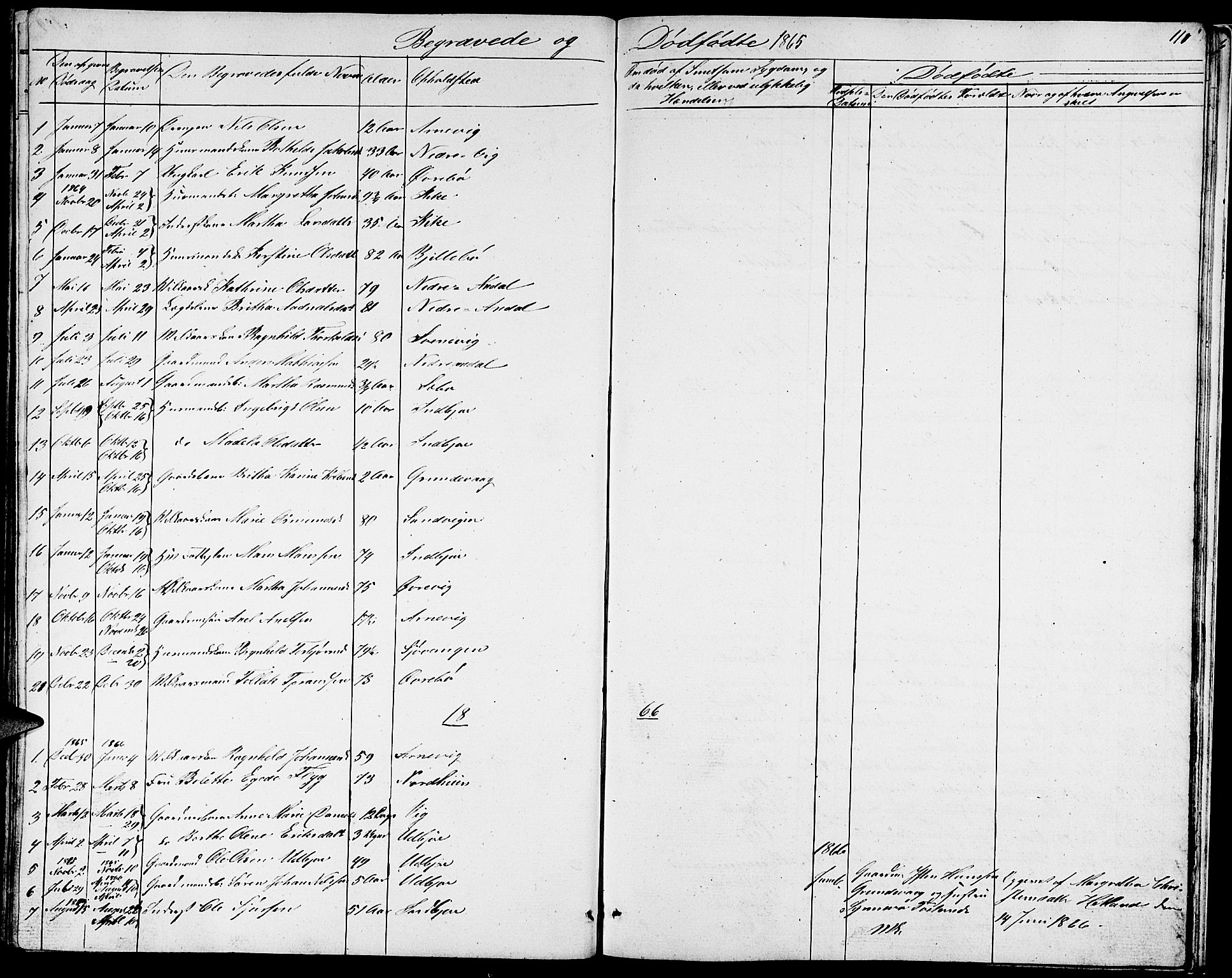 Fjelberg sokneprestembete, SAB/A-75201/H/Hab: Parish register (copy) no. A 3, 1865-1887, p. 110