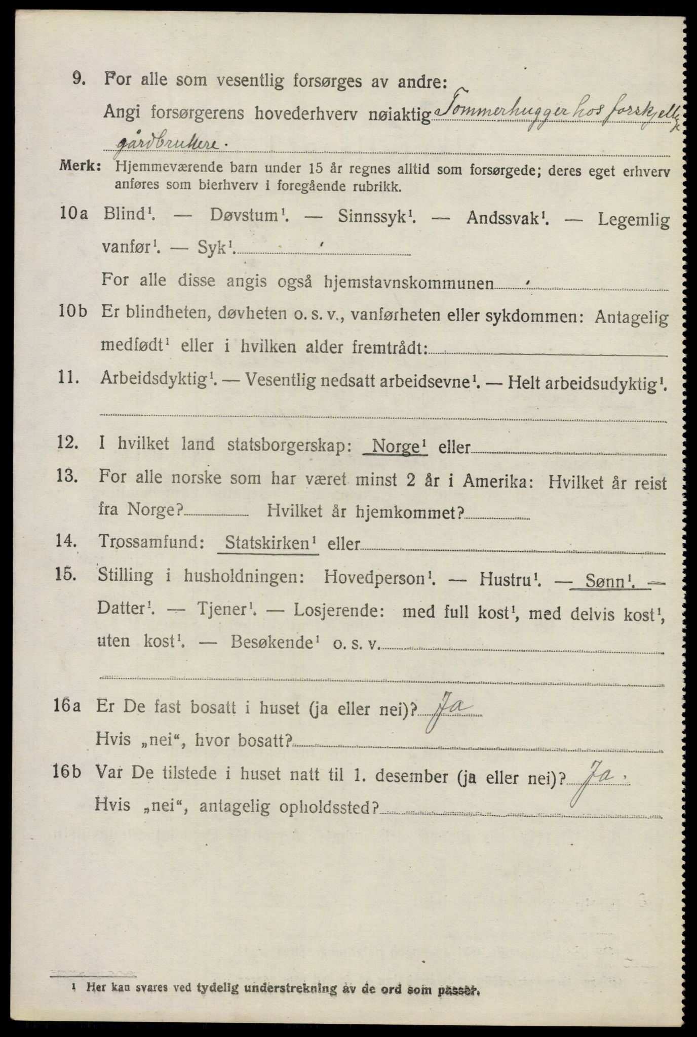 SAO, 1920 census for Nes, 1920, p. 6295