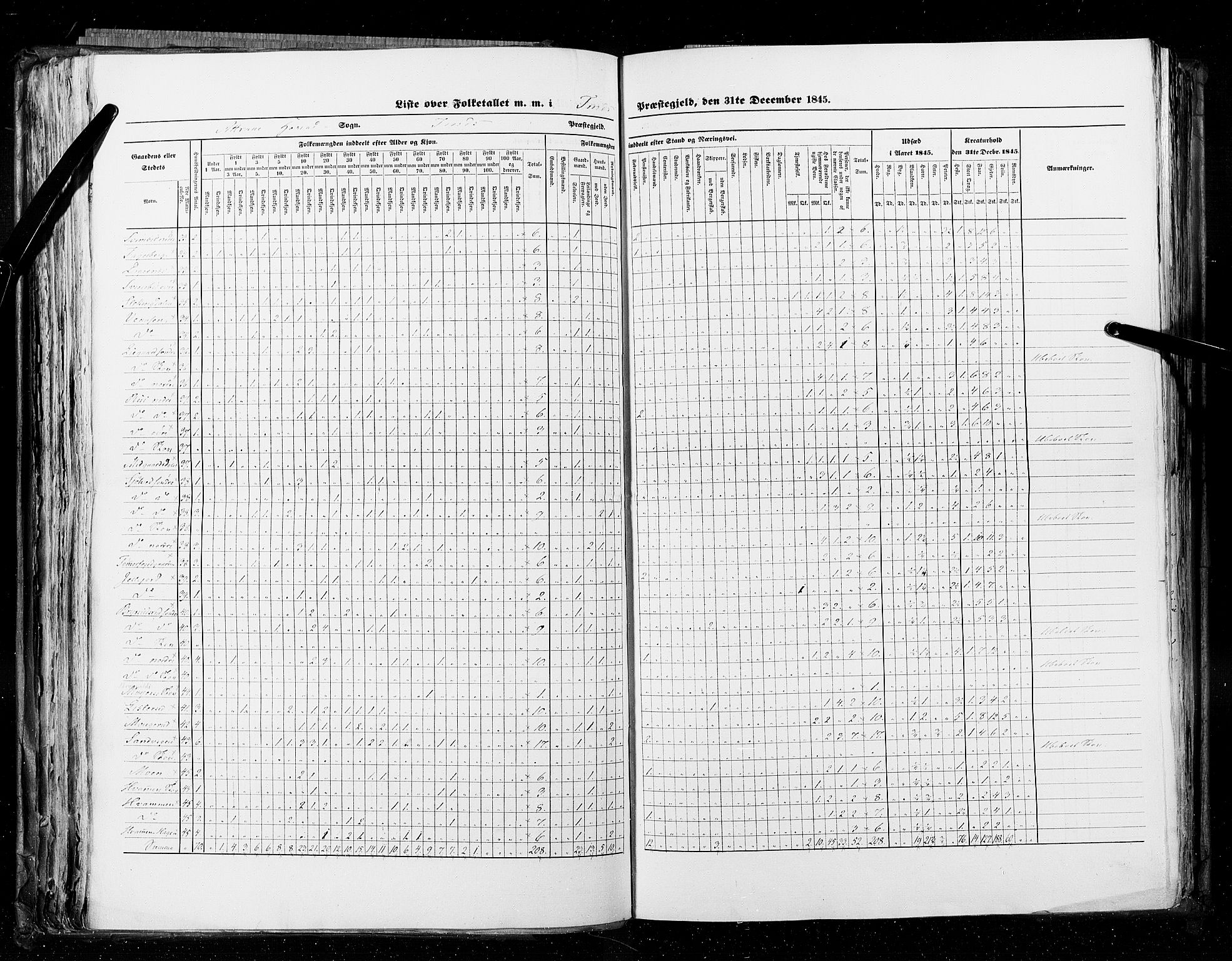 RA, Census 1845, vol. 5: Bratsberg amt og Nedenes og Råbyggelaget amt, 1845