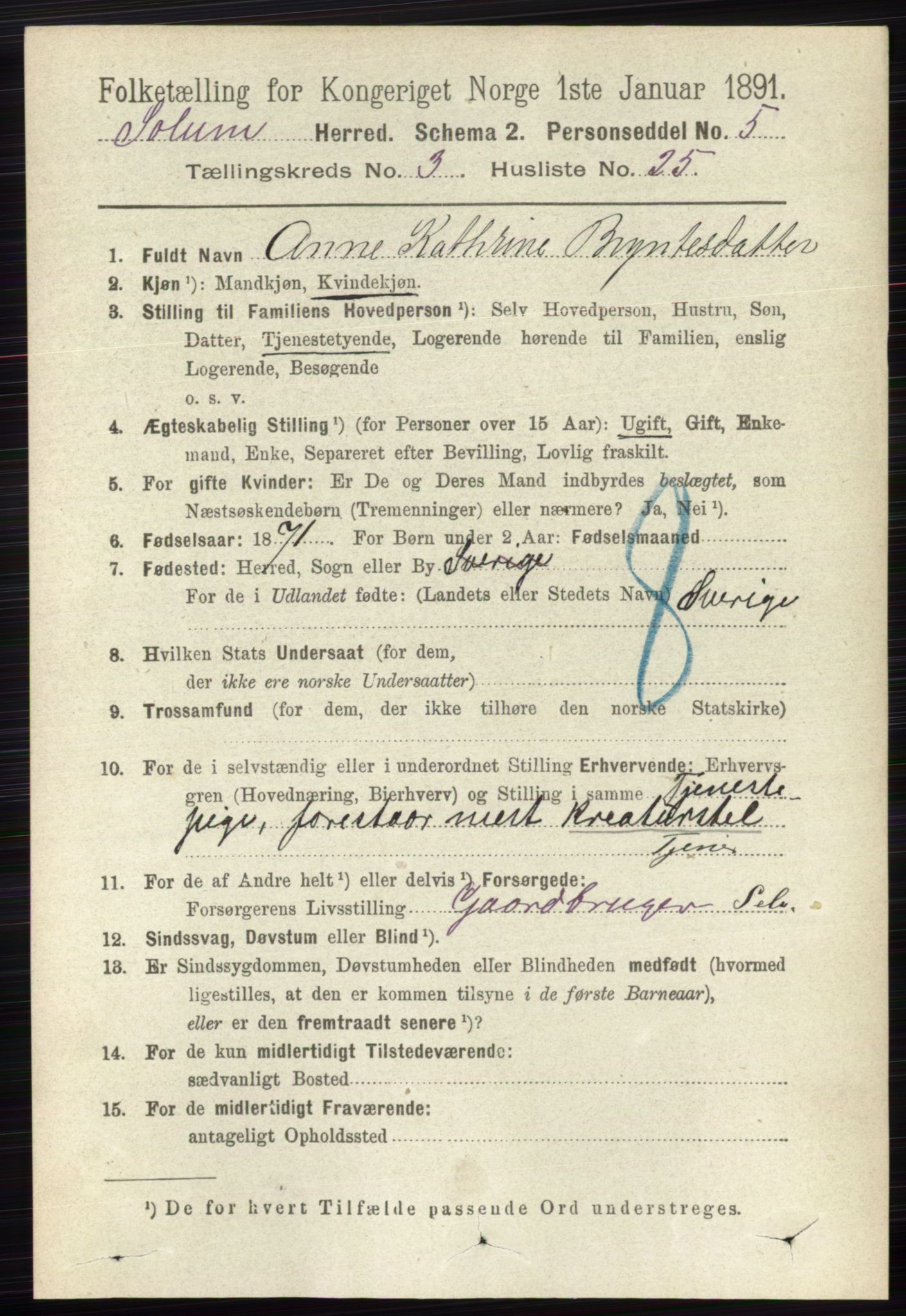 RA, 1891 census for 0818 Solum, 1891, p. 482