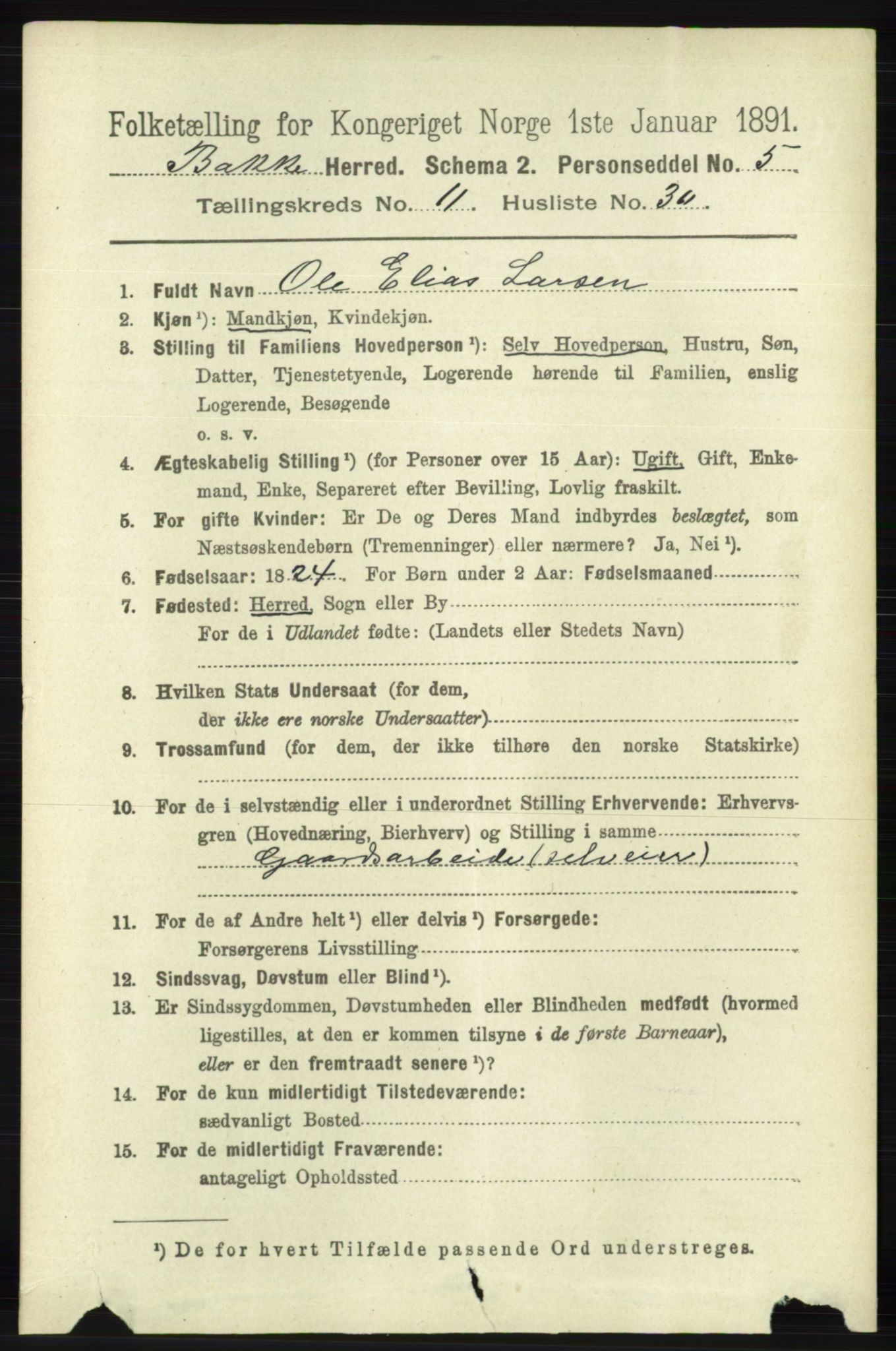 RA, 1891 census for 1045 Bakke, 1891, p. 2376