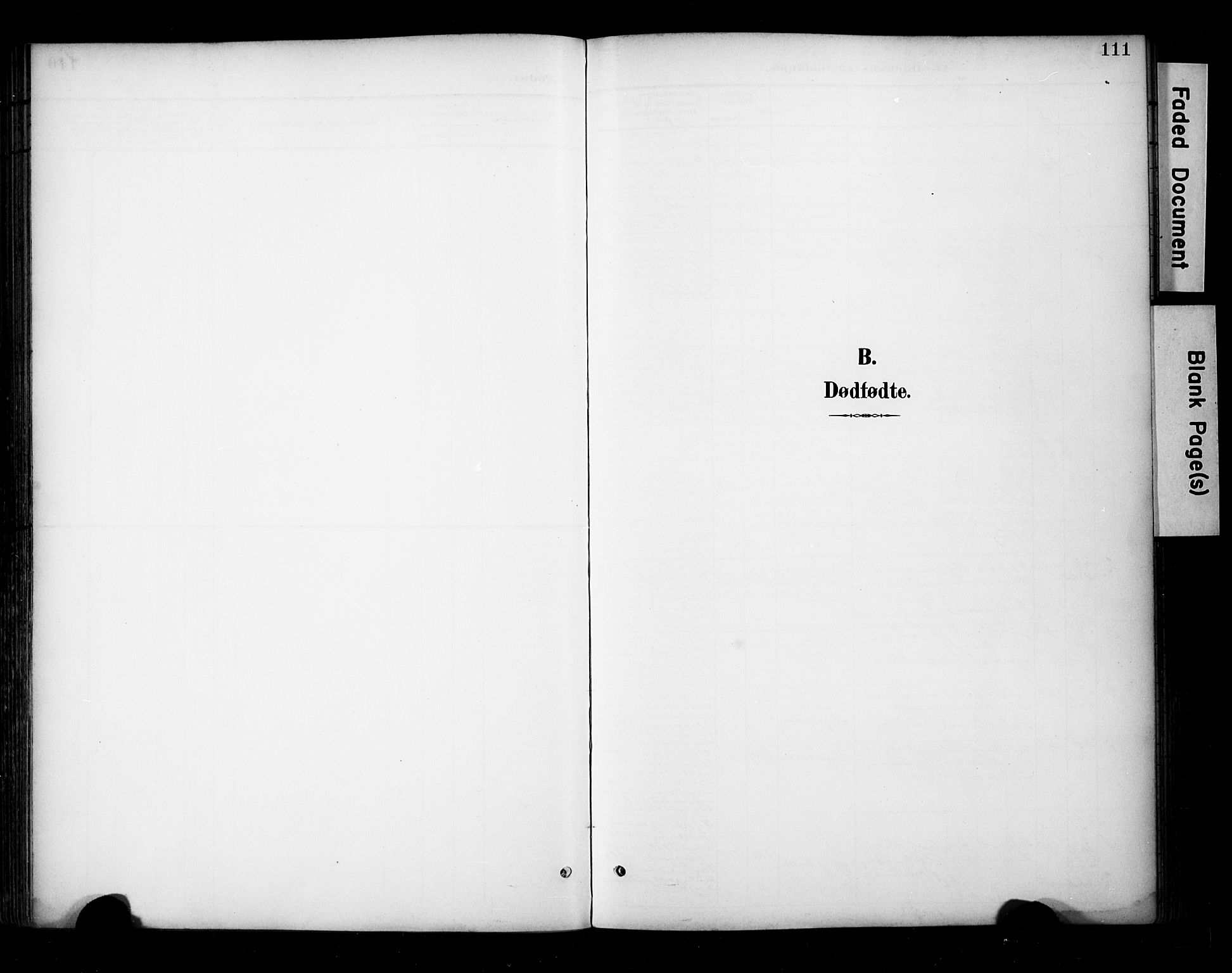 Ministerialprotokoller, klokkerbøker og fødselsregistre - Sør-Trøndelag, SAT/A-1456/681/L0936: Parish register (official) no. 681A14, 1899-1908, p. 111