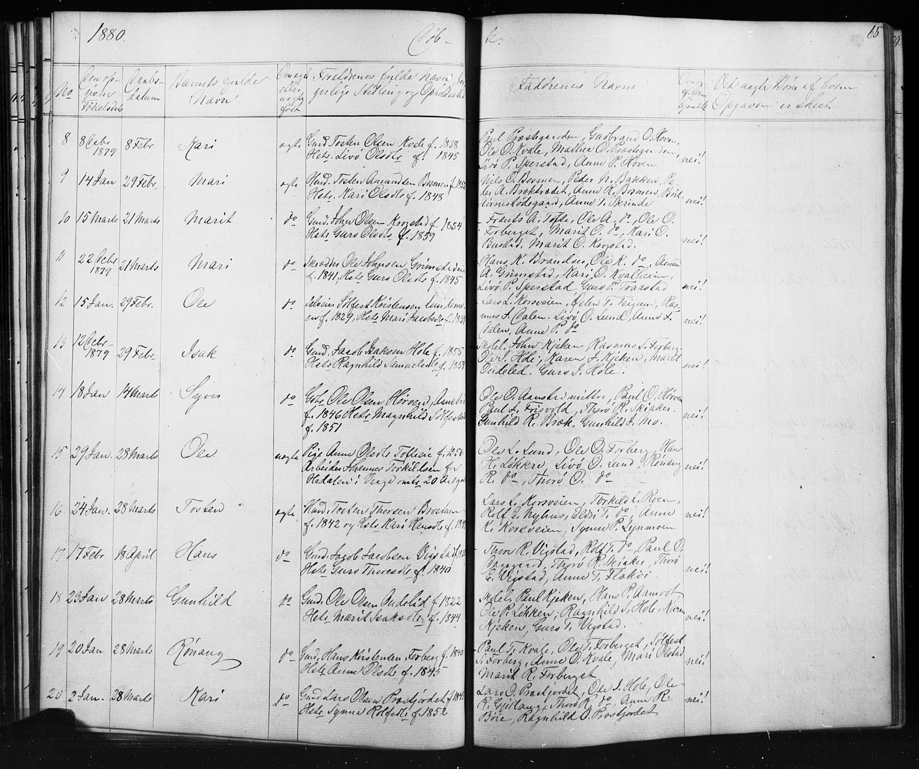 Skjåk prestekontor, SAH/PREST-072/H/Ha/Hab/L0001: Parish register (copy) no. 1, 1865-1893, p. 65