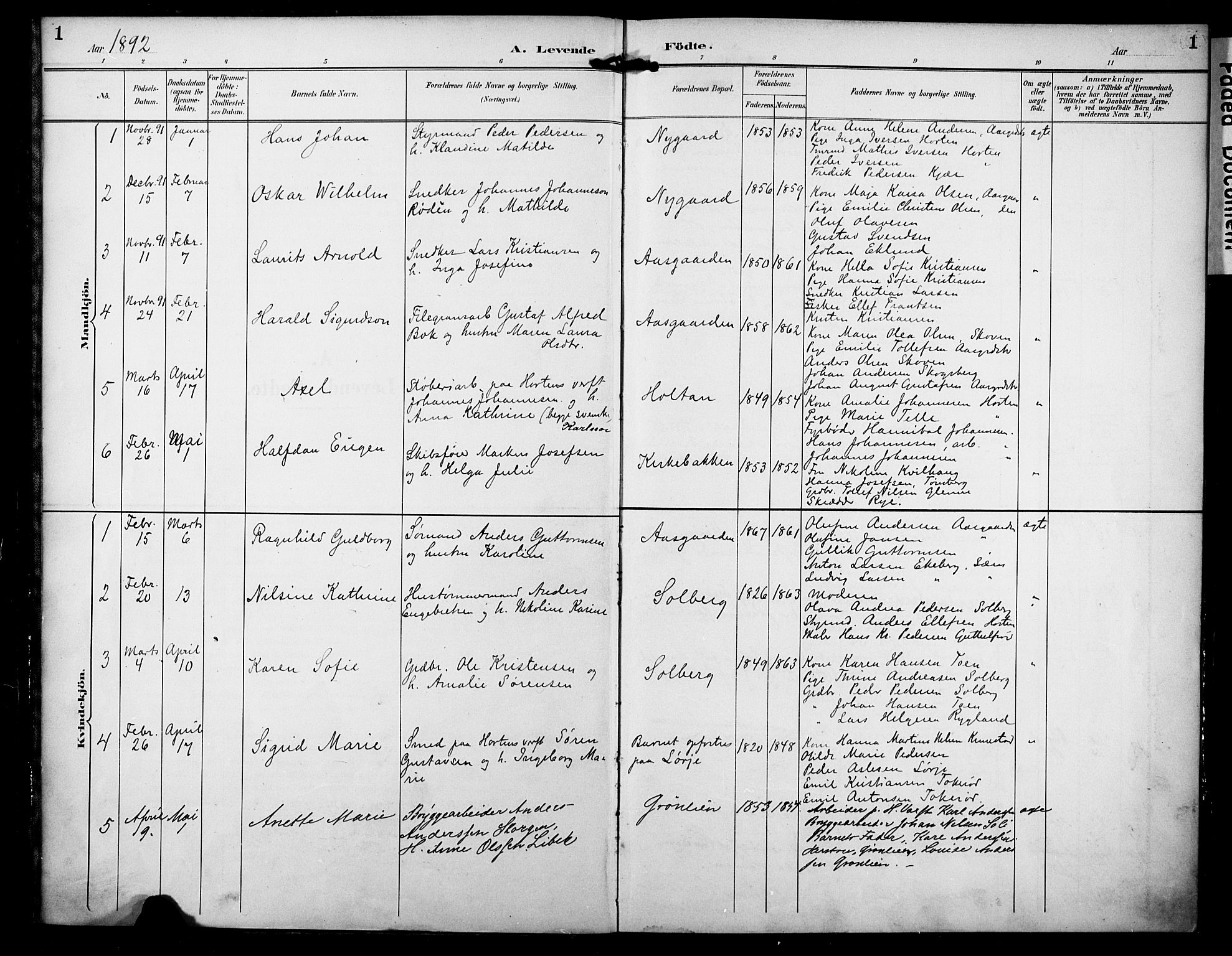 Borre kirkebøker, SAKO/A-338/F/Fa/L0010: Parish register (official) no. I 10, 1892-1896, p. 1