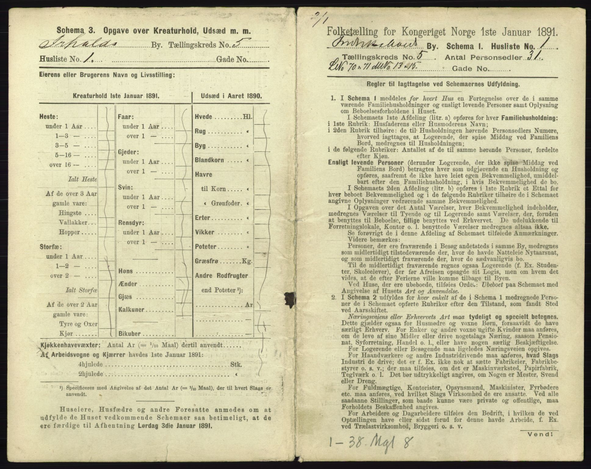 RA, 1891 census for 0101 Fredrikshald, 1891, p. 504