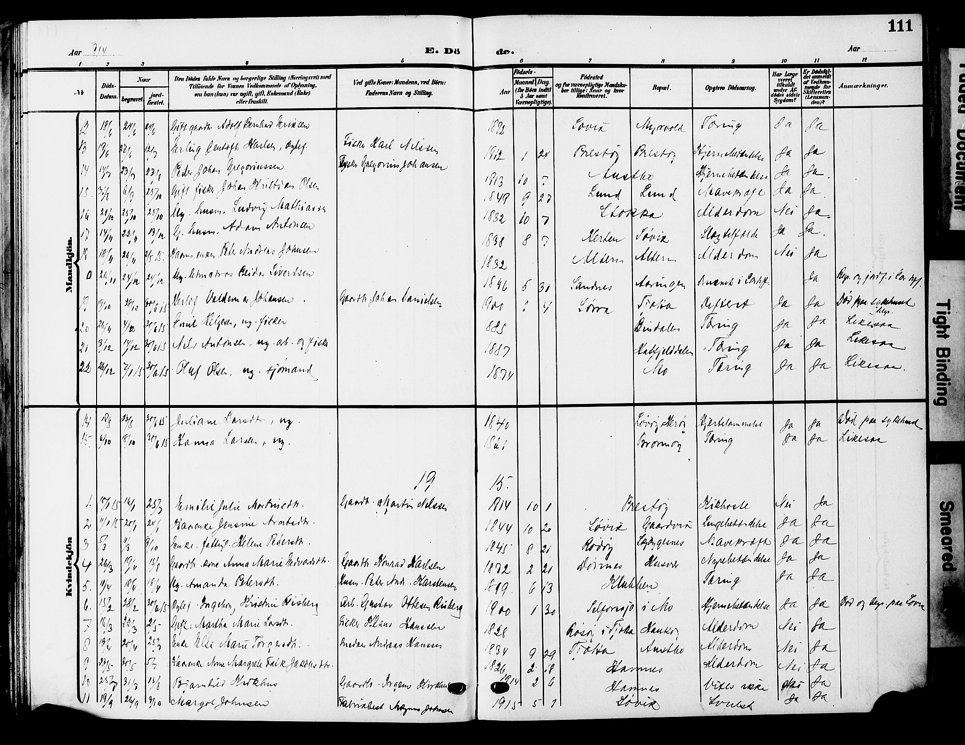 Ministerialprotokoller, klokkerbøker og fødselsregistre - Nordland, AV/SAT-A-1459/830/L0464: Parish register (copy) no. 830C06, 1906-1925, p. 111