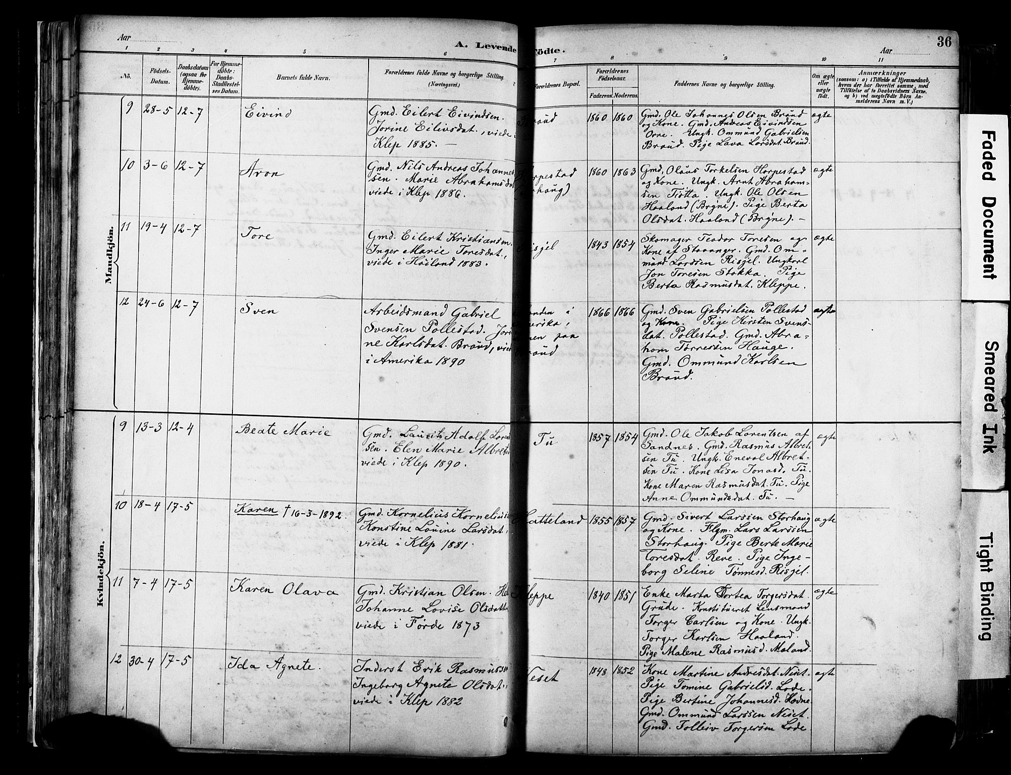 Klepp sokneprestkontor, AV/SAST-A-101803/001/3/30BA/L0009: Parish register (official) no. A 7, 1886-1915, p. 36