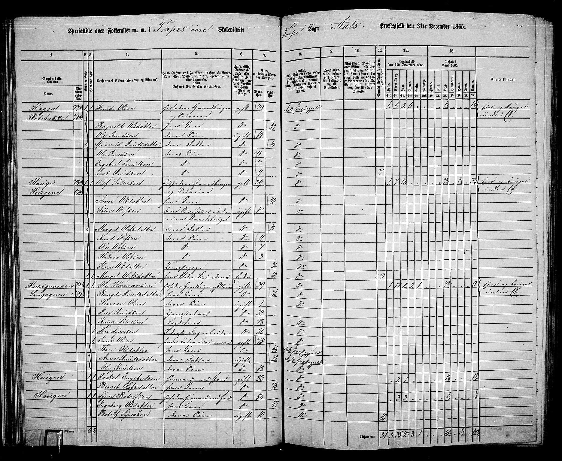 RA, 1865 census for Ål, 1865, p. 52