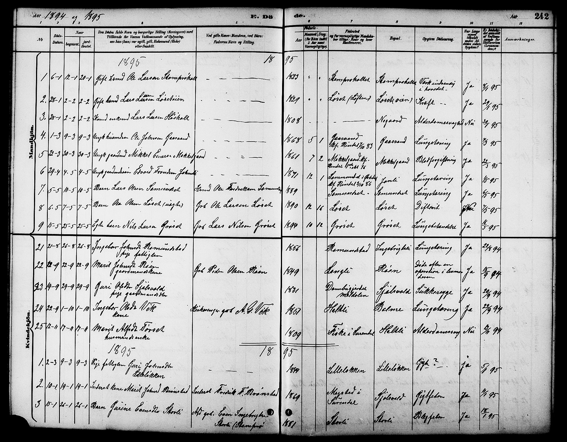 Ministerialprotokoller, klokkerbøker og fødselsregistre - Møre og Romsdal, SAT/A-1454/598/L1078: Parish register (copy) no. 598C03, 1892-1909, p. 242