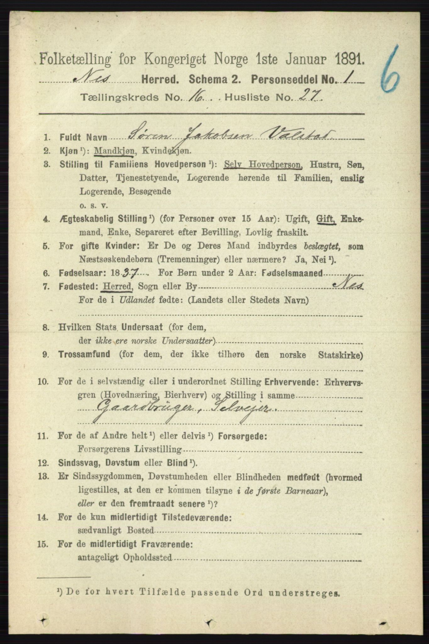 RA, 1891 census for 0236 Nes, 1891, p. 9710
